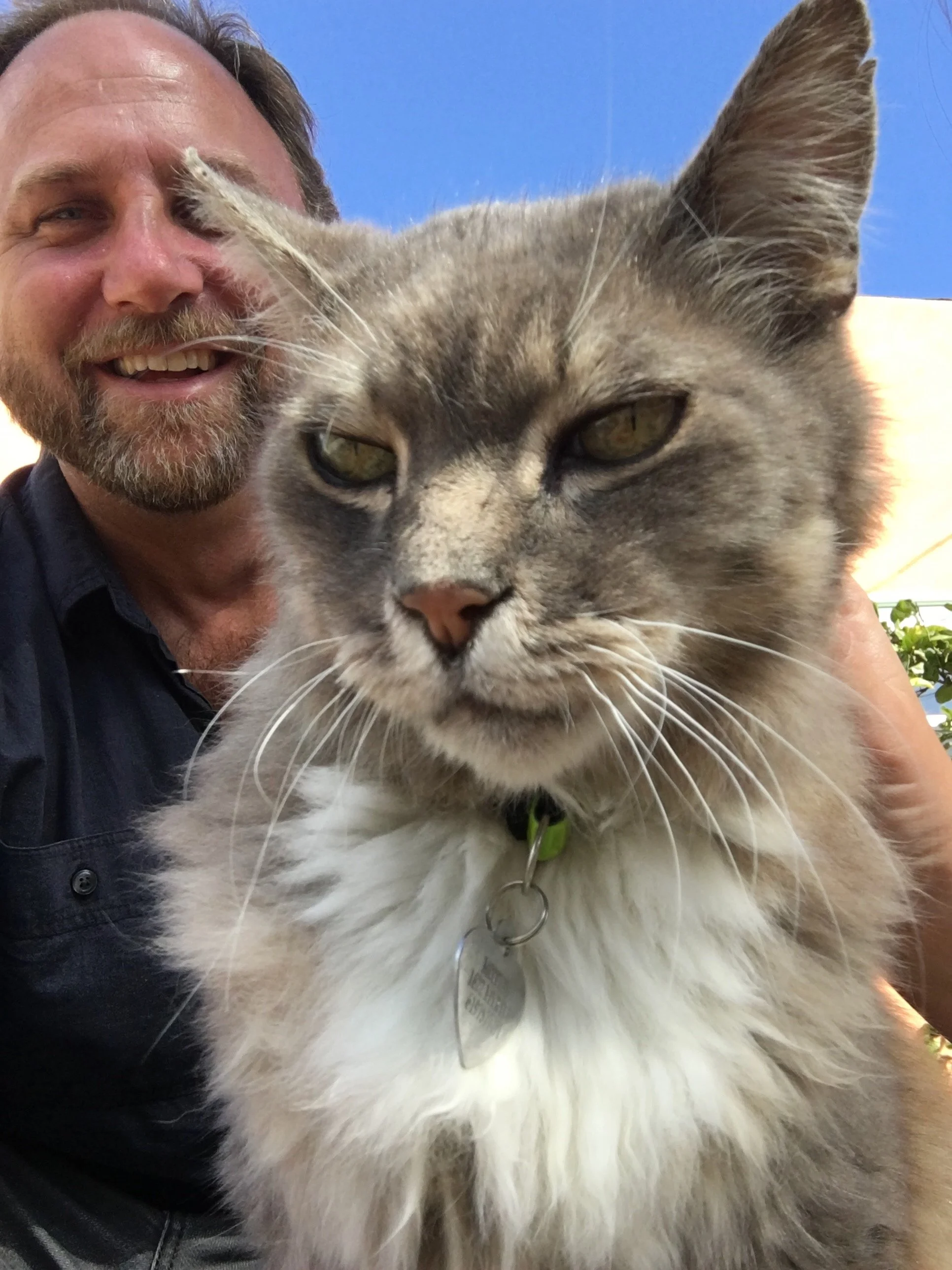 Dog Uncle Nate taking a selfie with a large gray and white cat outside on a sunny day.