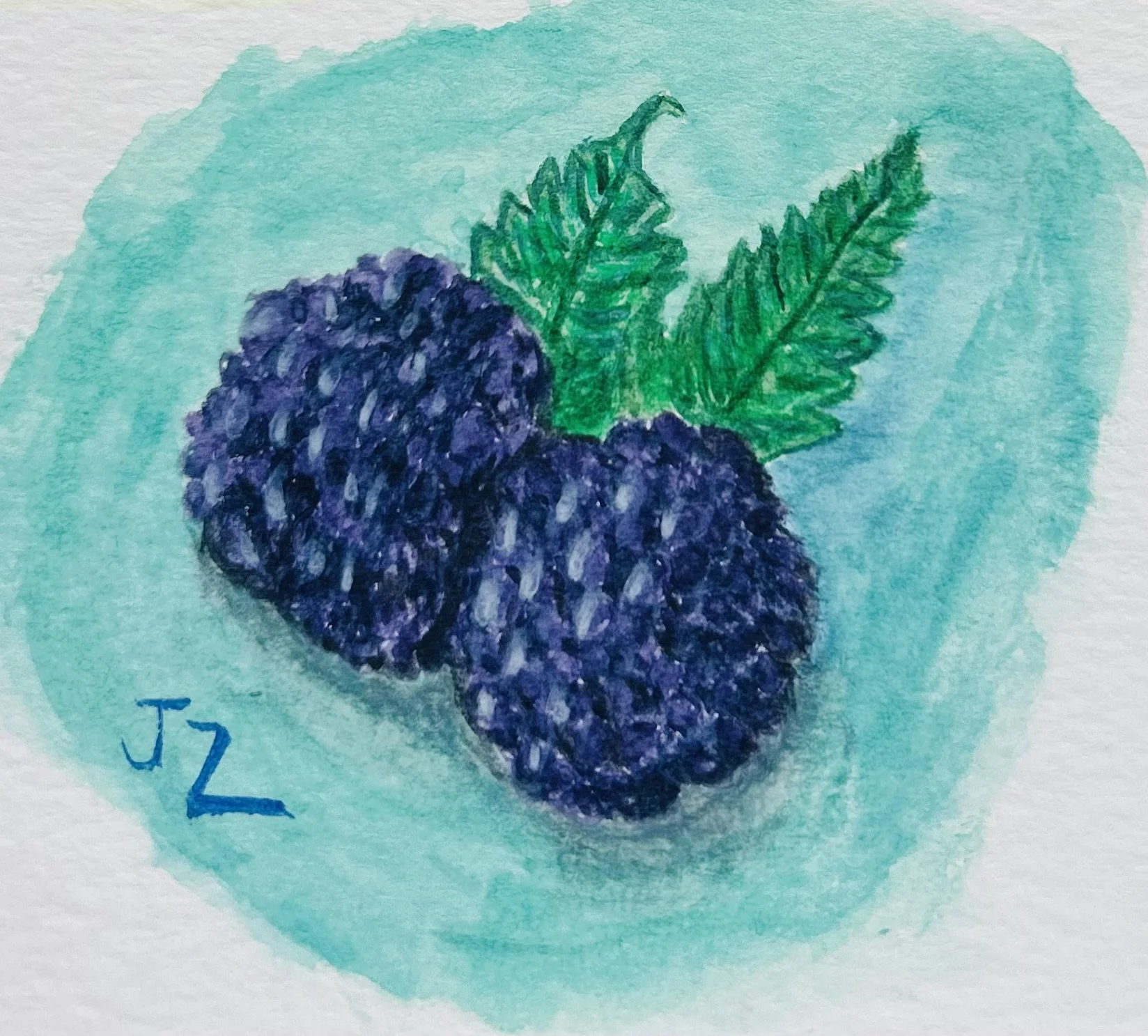 Watercolor painting of two blackberries with green leaves on a light blue background.