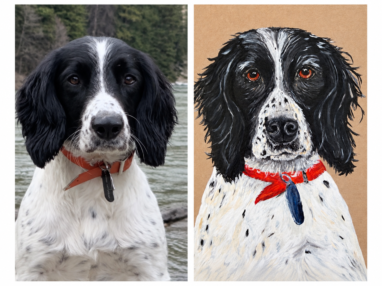 Side-by-side comparison of a dog photograph and an artistic painting of the same dog, a black and white spaniel with a red collar.