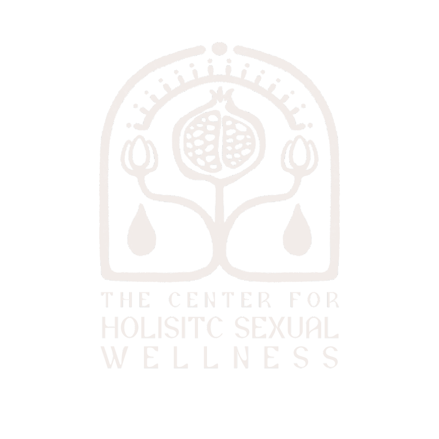 The Center for Holistic Sexual Wellness