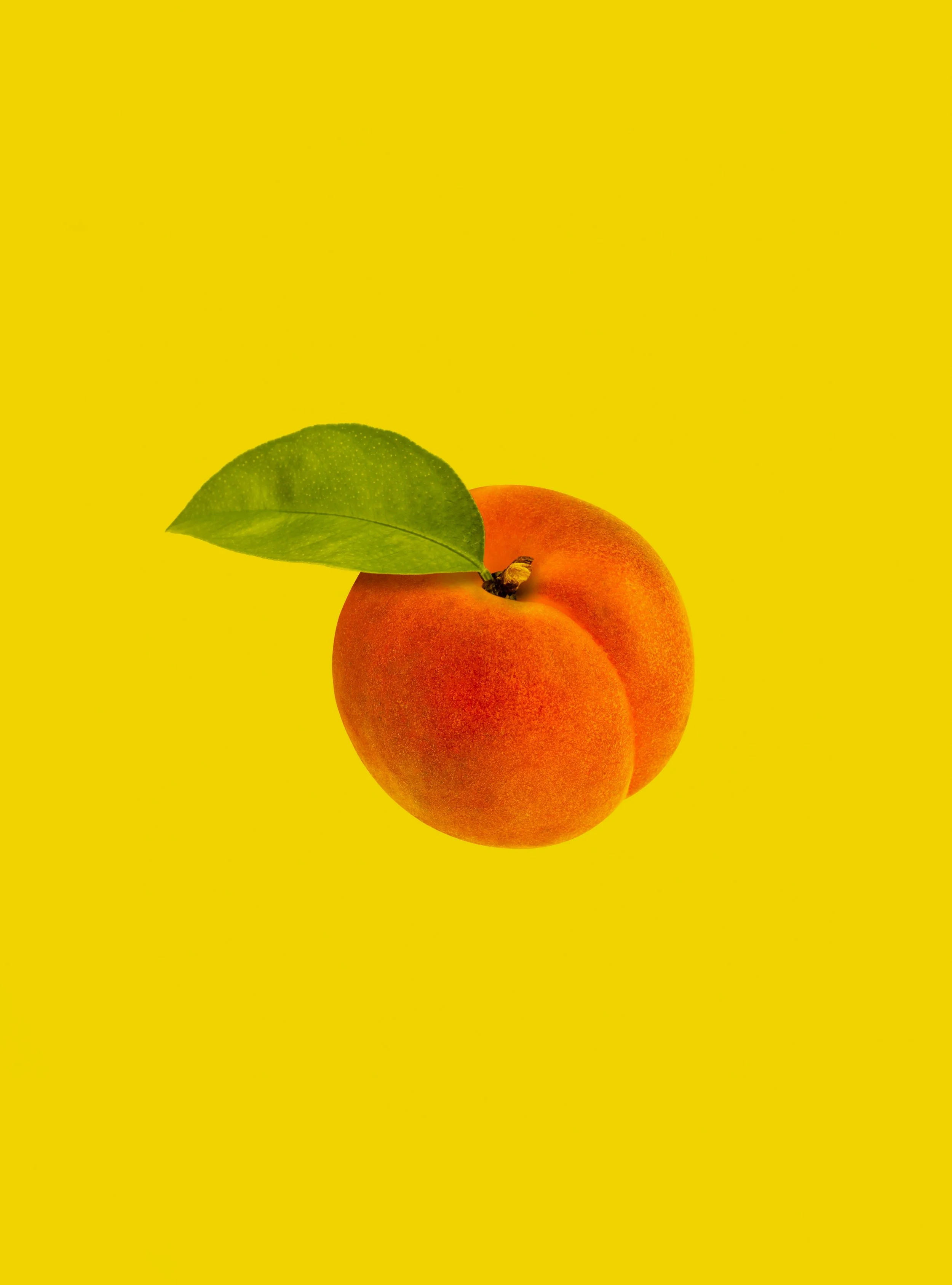 allec-gomes-ofRrymNhmvI-unsplash.jpg