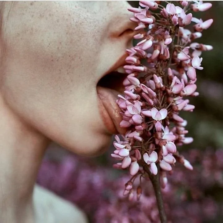 A person with fair skin and freckles is close to a cluster of pink flowers, with their lips gently touching or near the flowers.