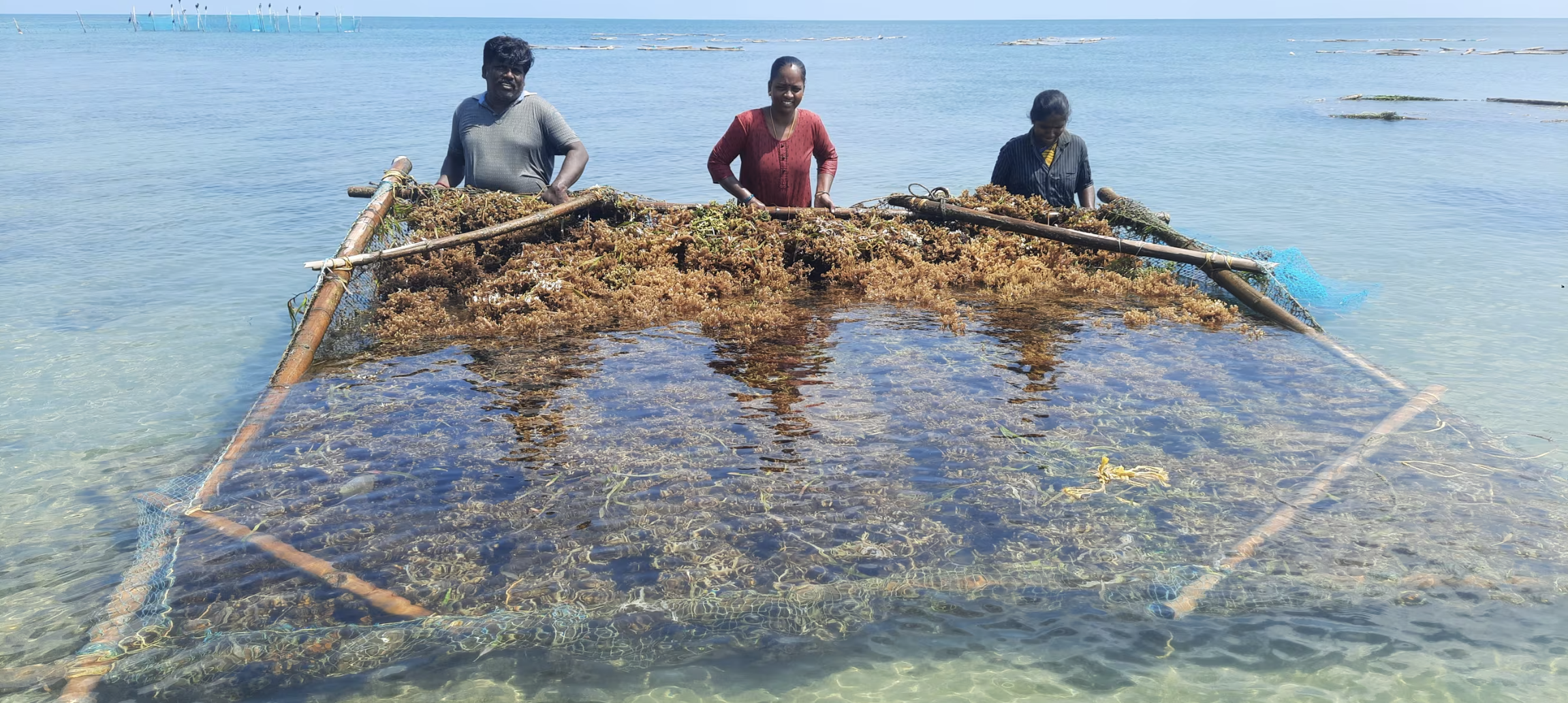 Make Room for Growth