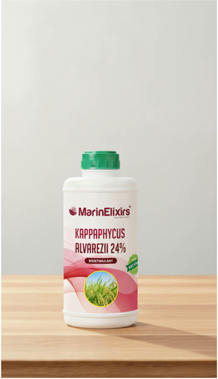 Ultra Concentrated Powder