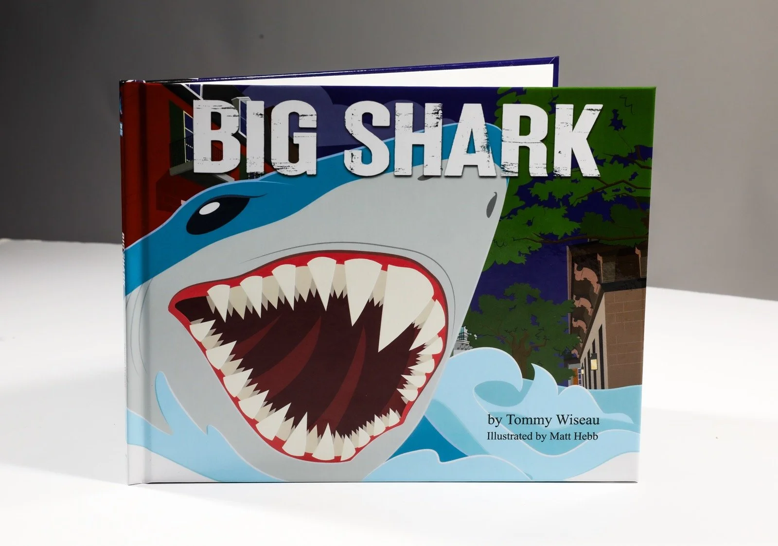 Big Shark Children's Book