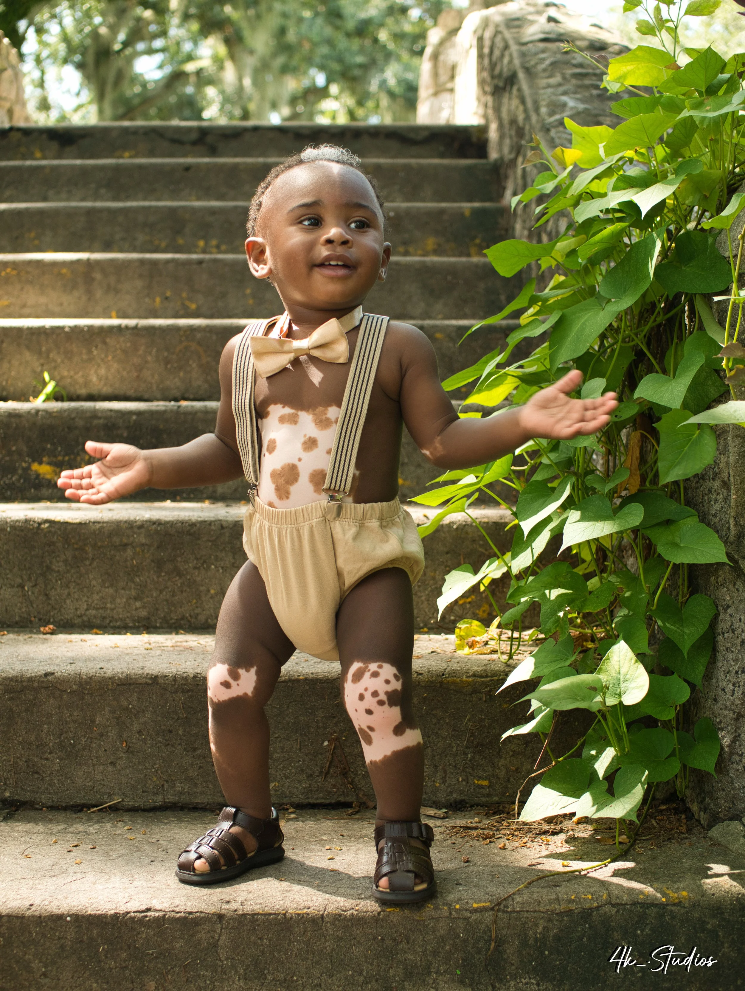 Package 3: The Editorial Experience