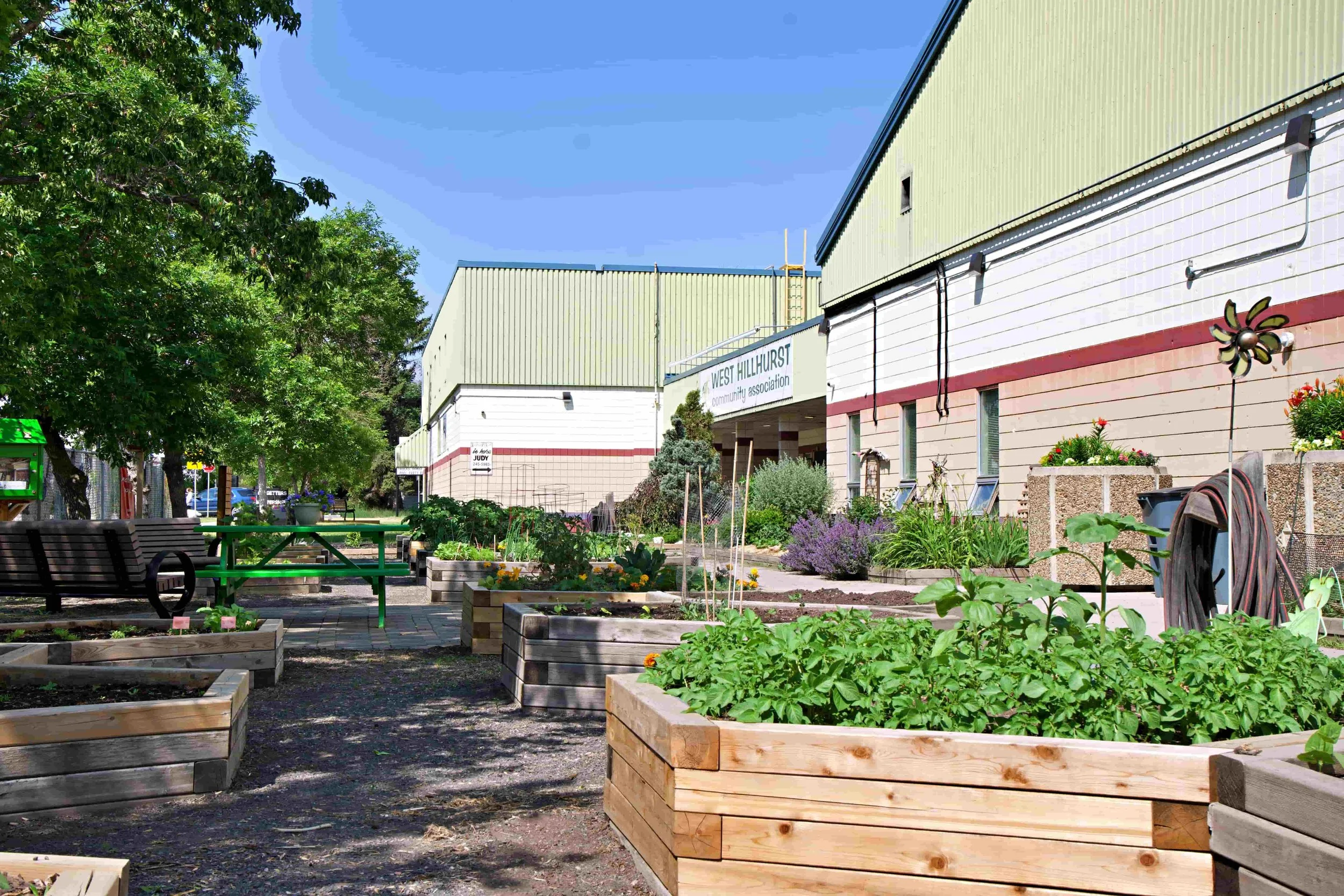 The image shows the front entrance of the West Hillhurst Community Centre. It is a white painted brick building. There are many hexagonal shaped garden beds, each with a variety of vegetables and flowers in full bloom. It is a sunny day.