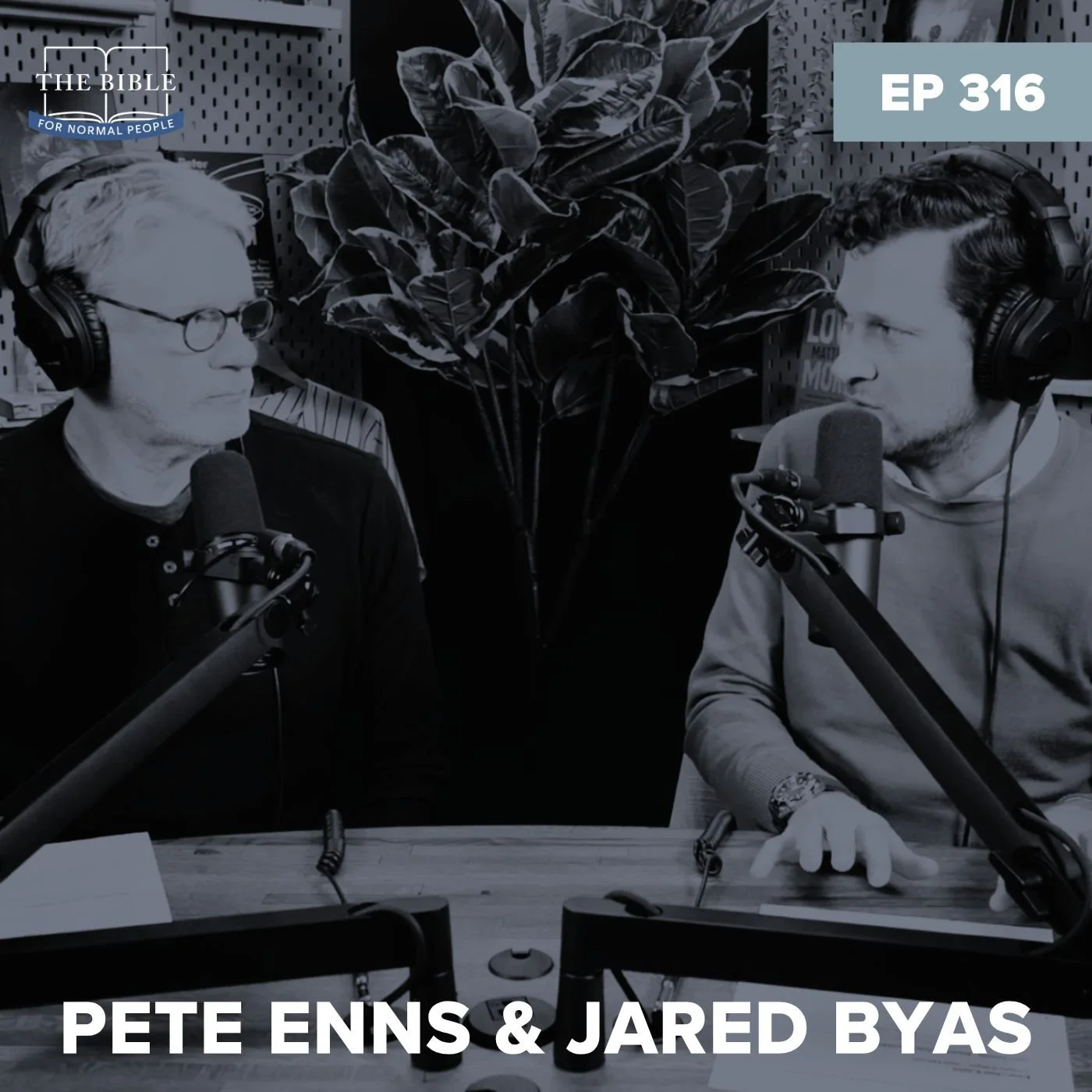 Episode 316: Pete Enns &amp; Jared Byas - Is the Bible the Word of God? &amp; Other Easy Questions