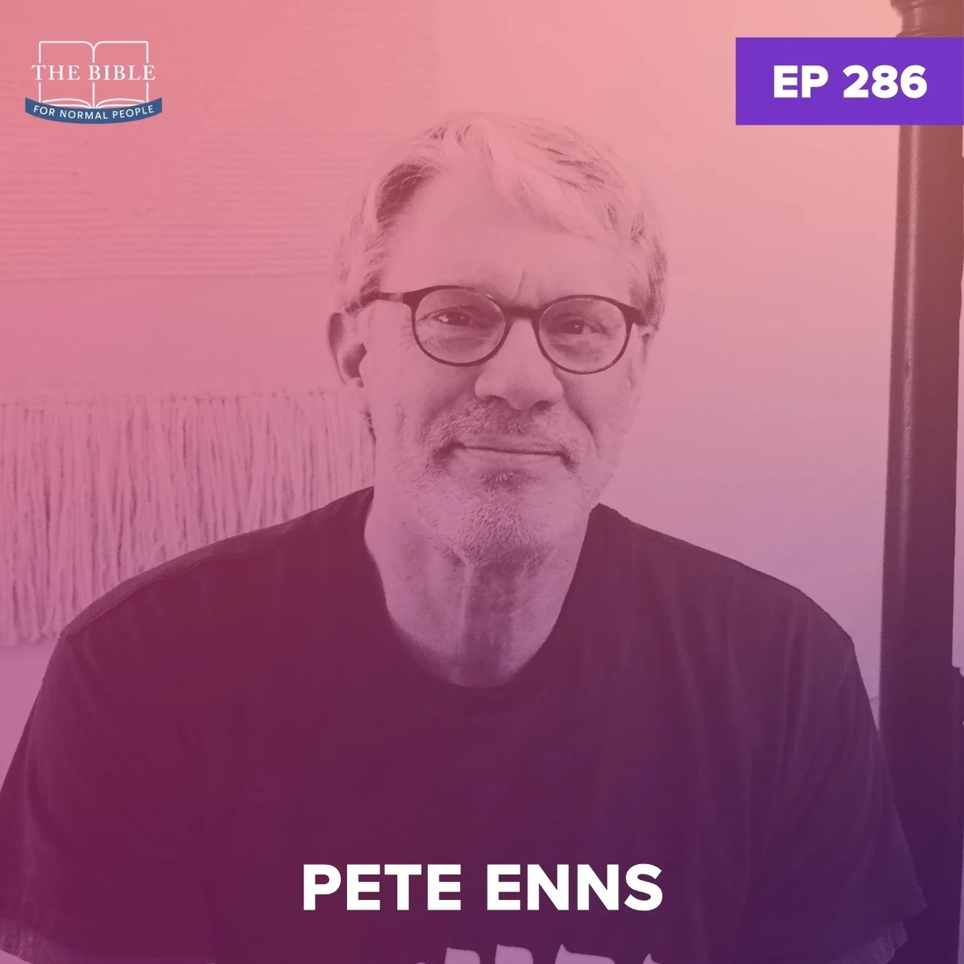 Episode 286: Pete Enns - Pete Ruins Genesis (Part 4)