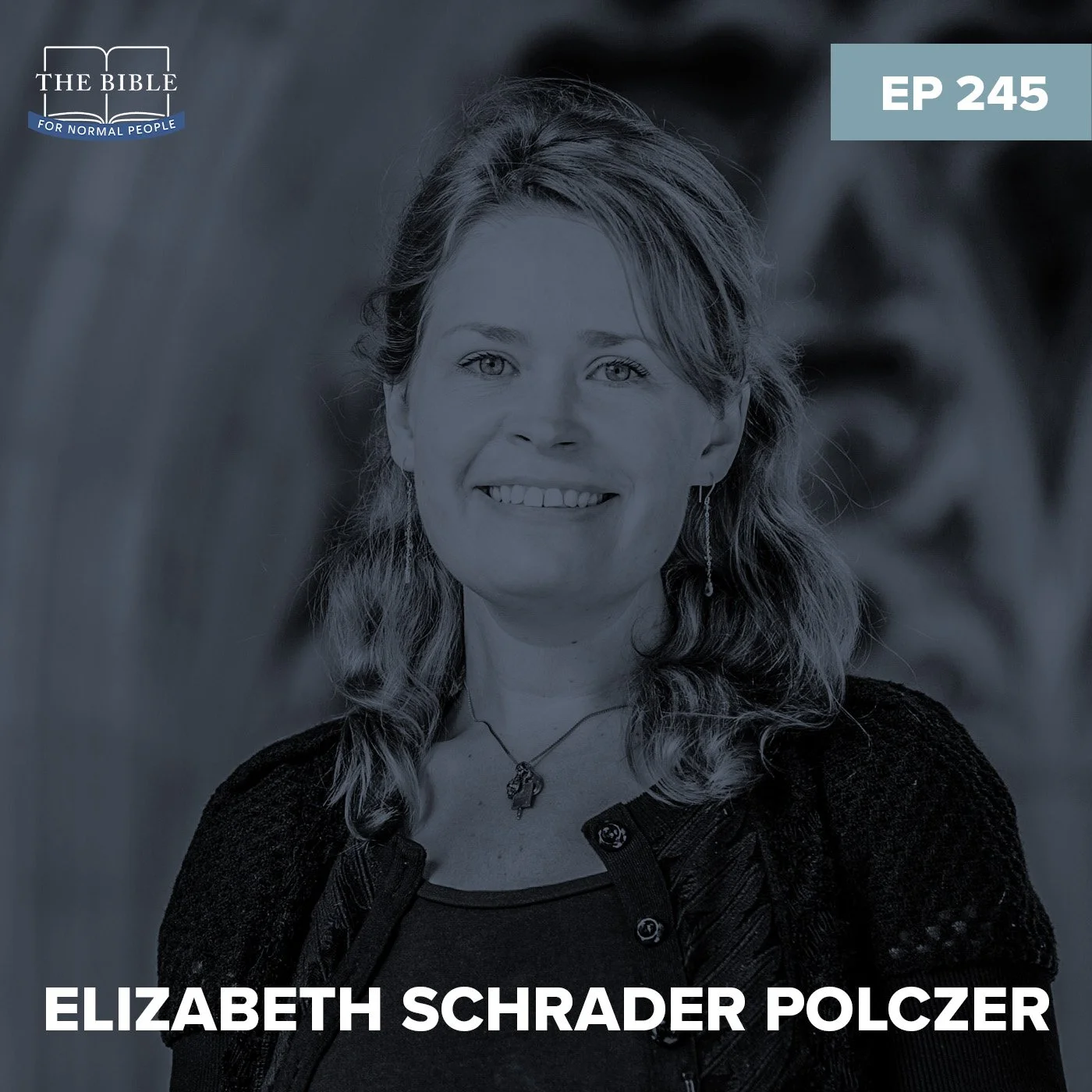 Episode 245: Elizabeth Schrader Polczer - Resurrecting Mary the Tower