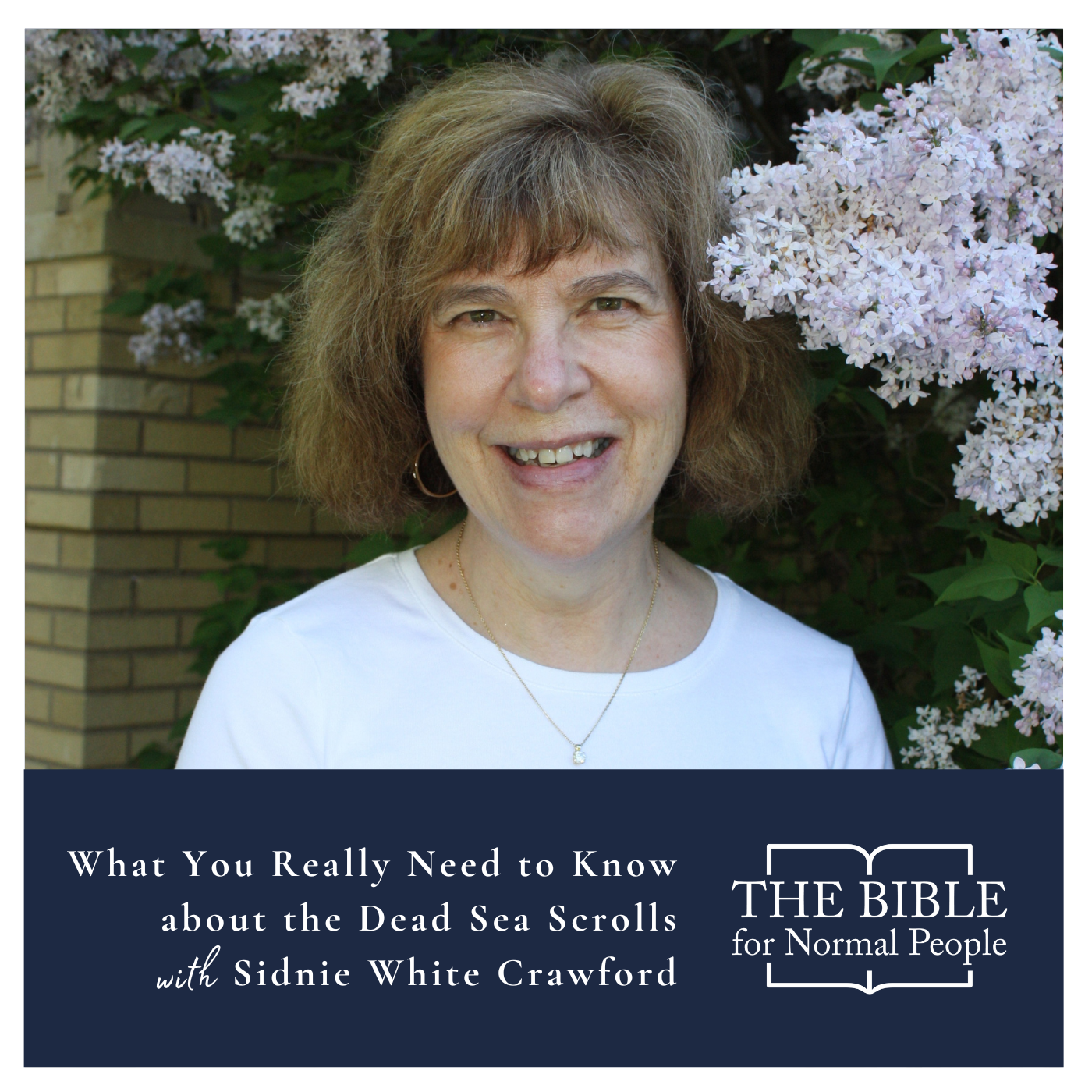 Episode 210: Sidnie White Crawford – What You Really Need to Know about the Dead Sea Scrolls