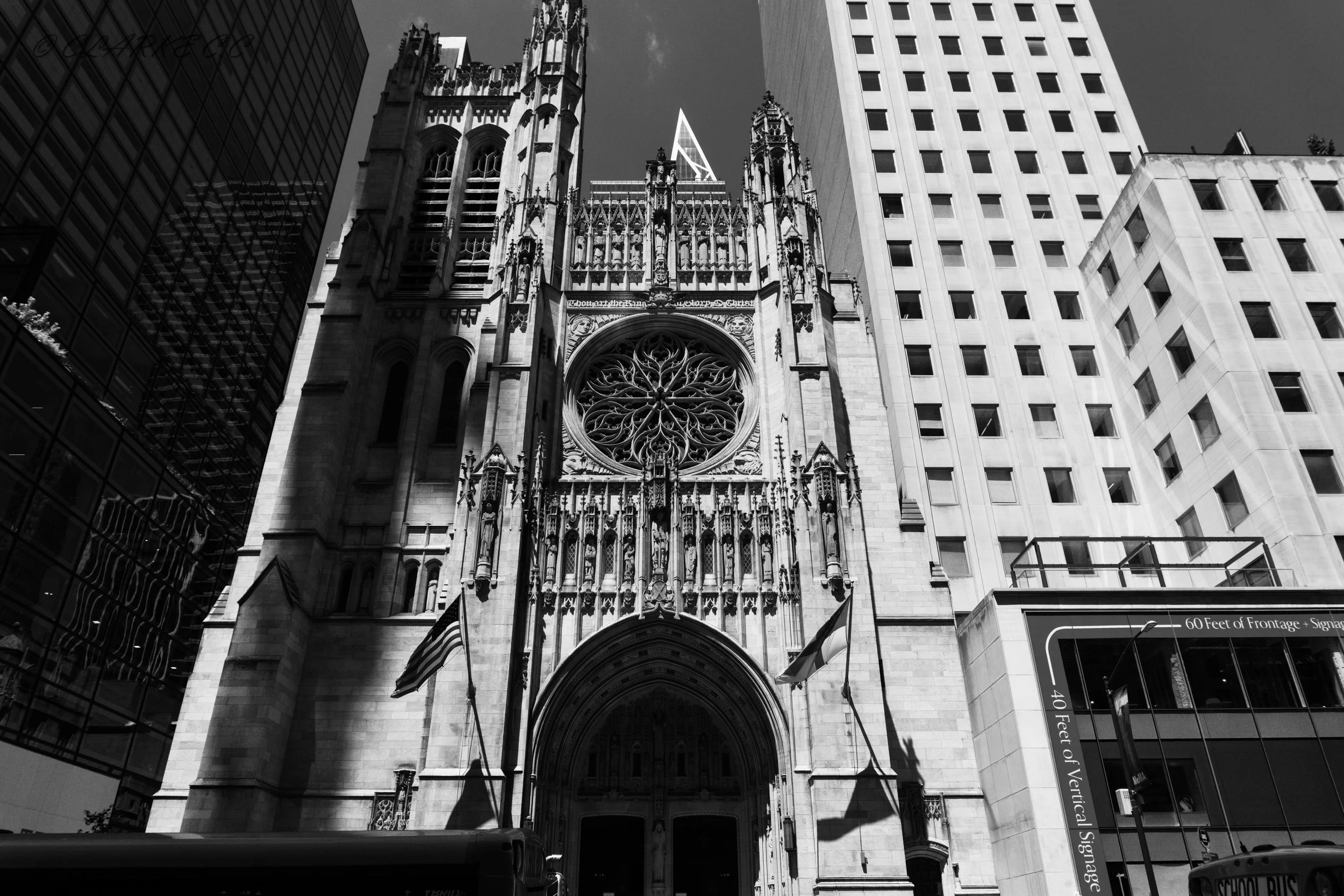 DSC02948.jpg