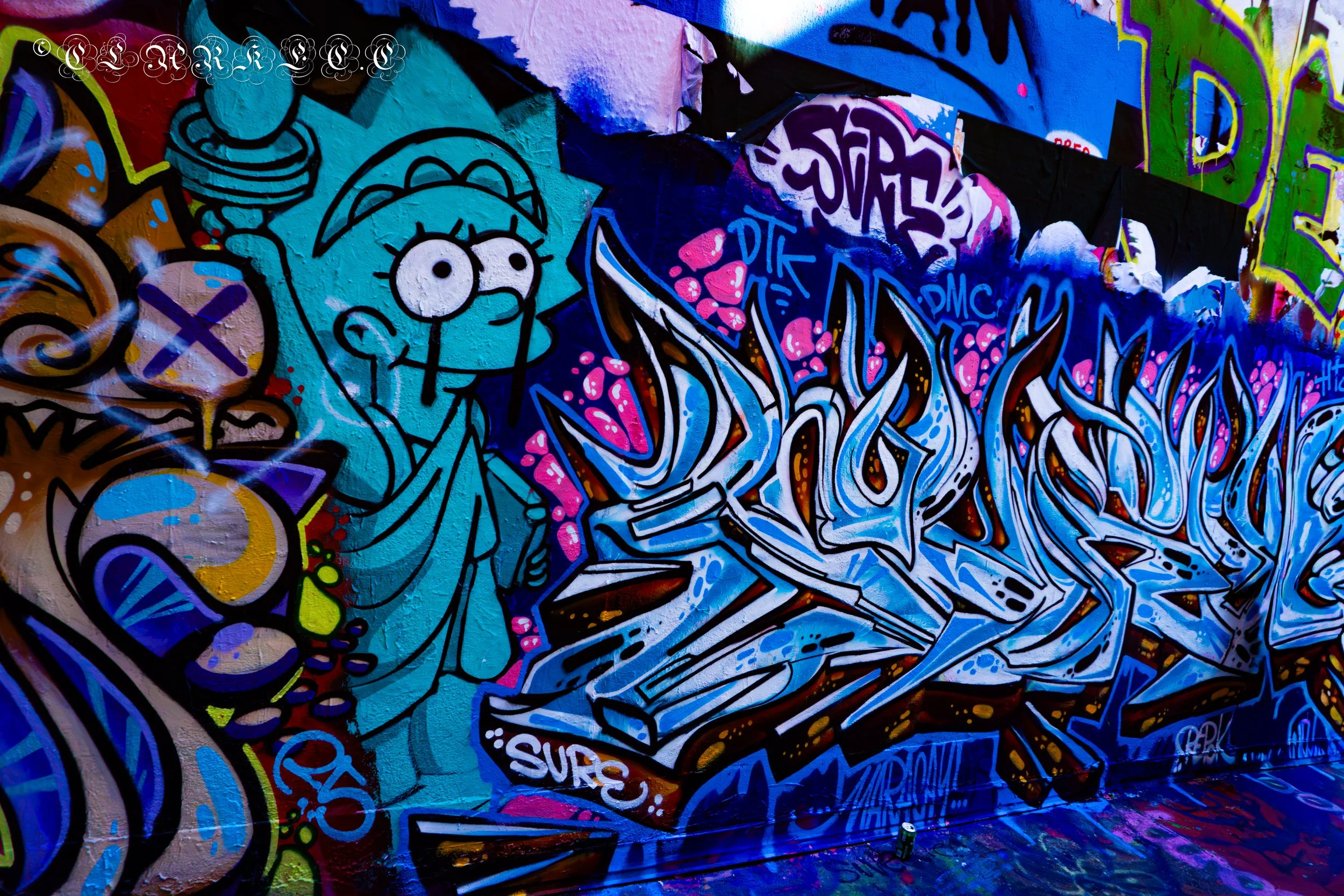 DSC03969.jpg