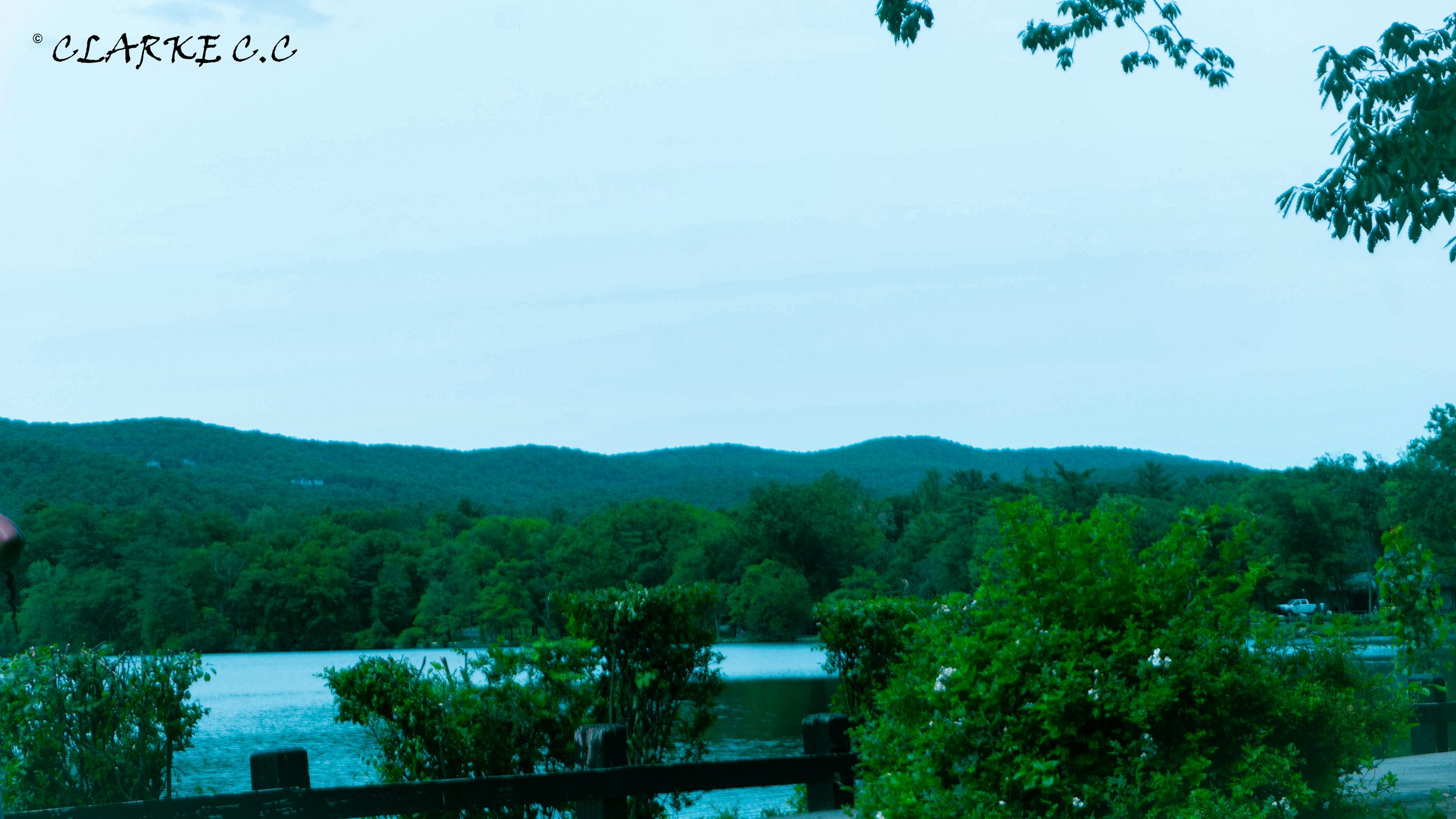 DSC02204.jpg