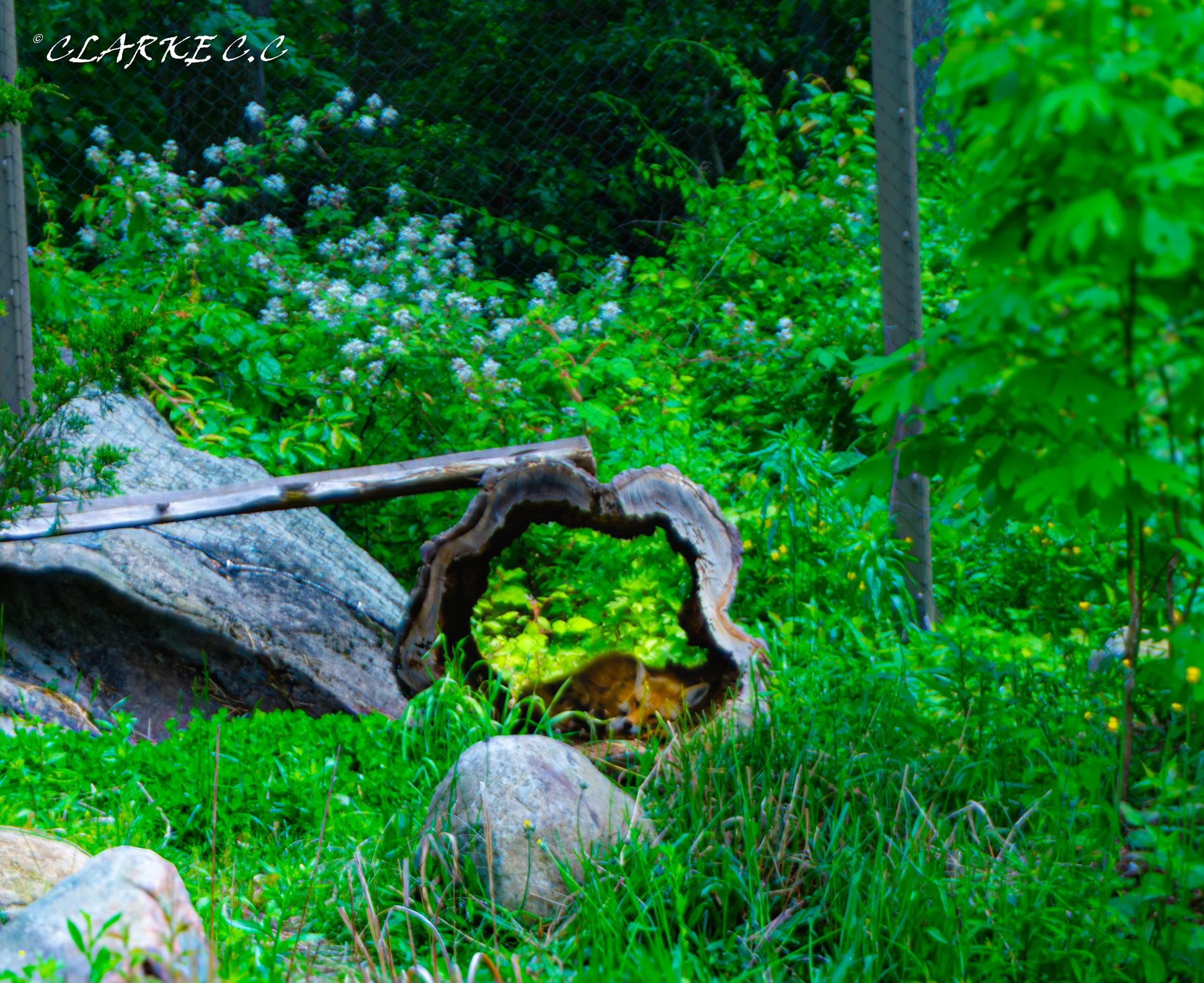 DSC02190-3.jpg
