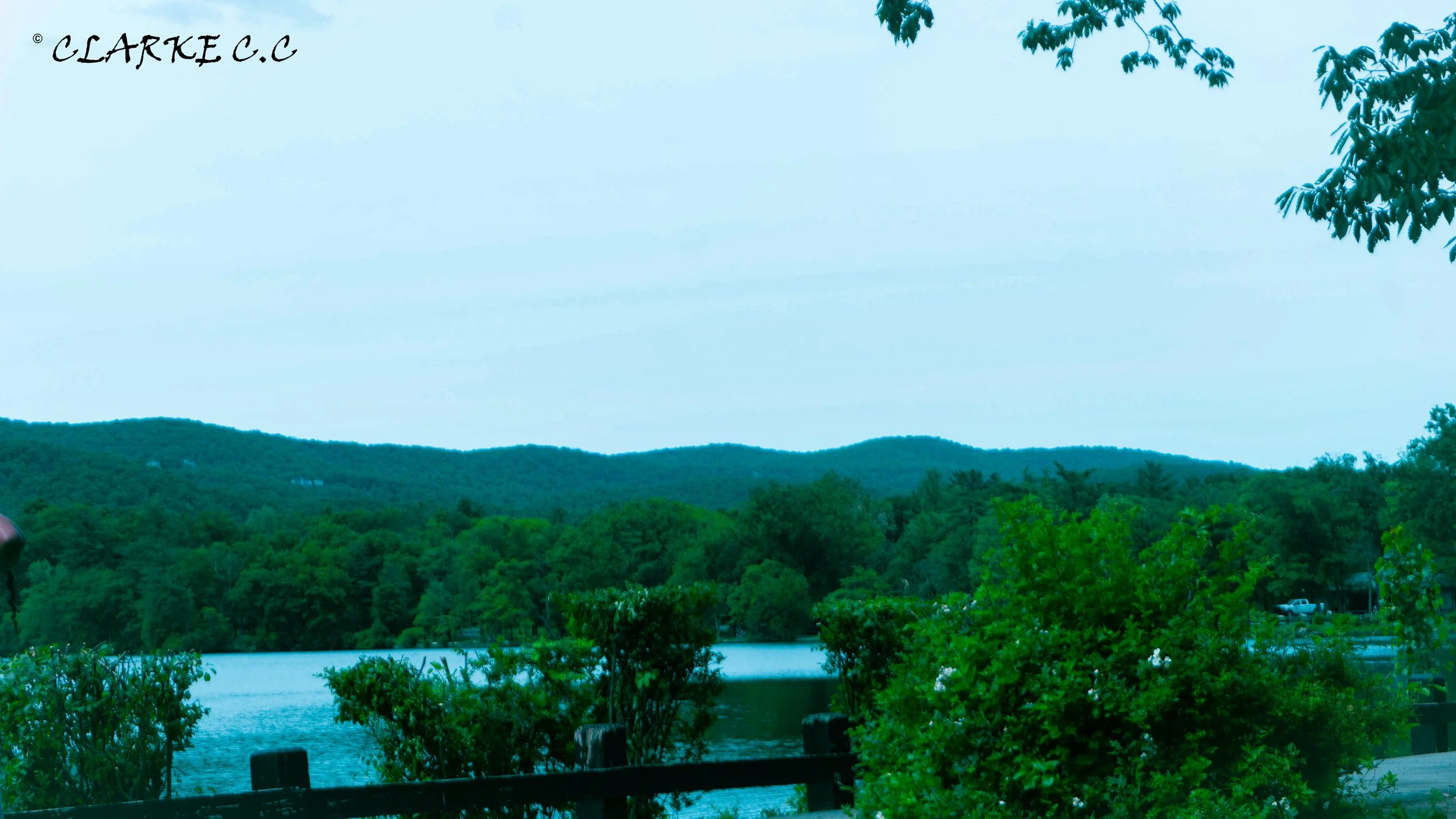 DSC02204.jpg