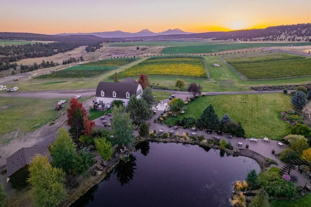 Hybrid grapes provide delicious option amid climate change