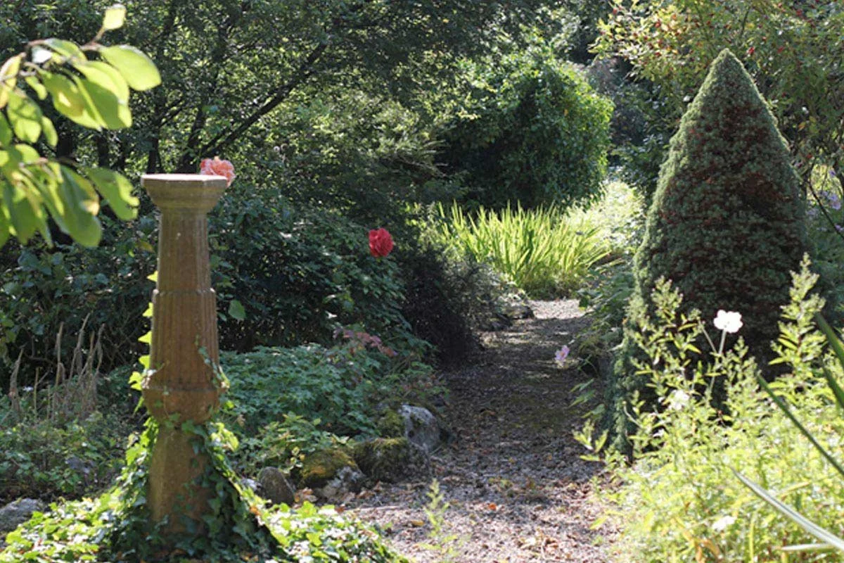 Garden path with lush green plants, bushes, and a small decorative birdbath on a pedestal in a serene backyard garden.