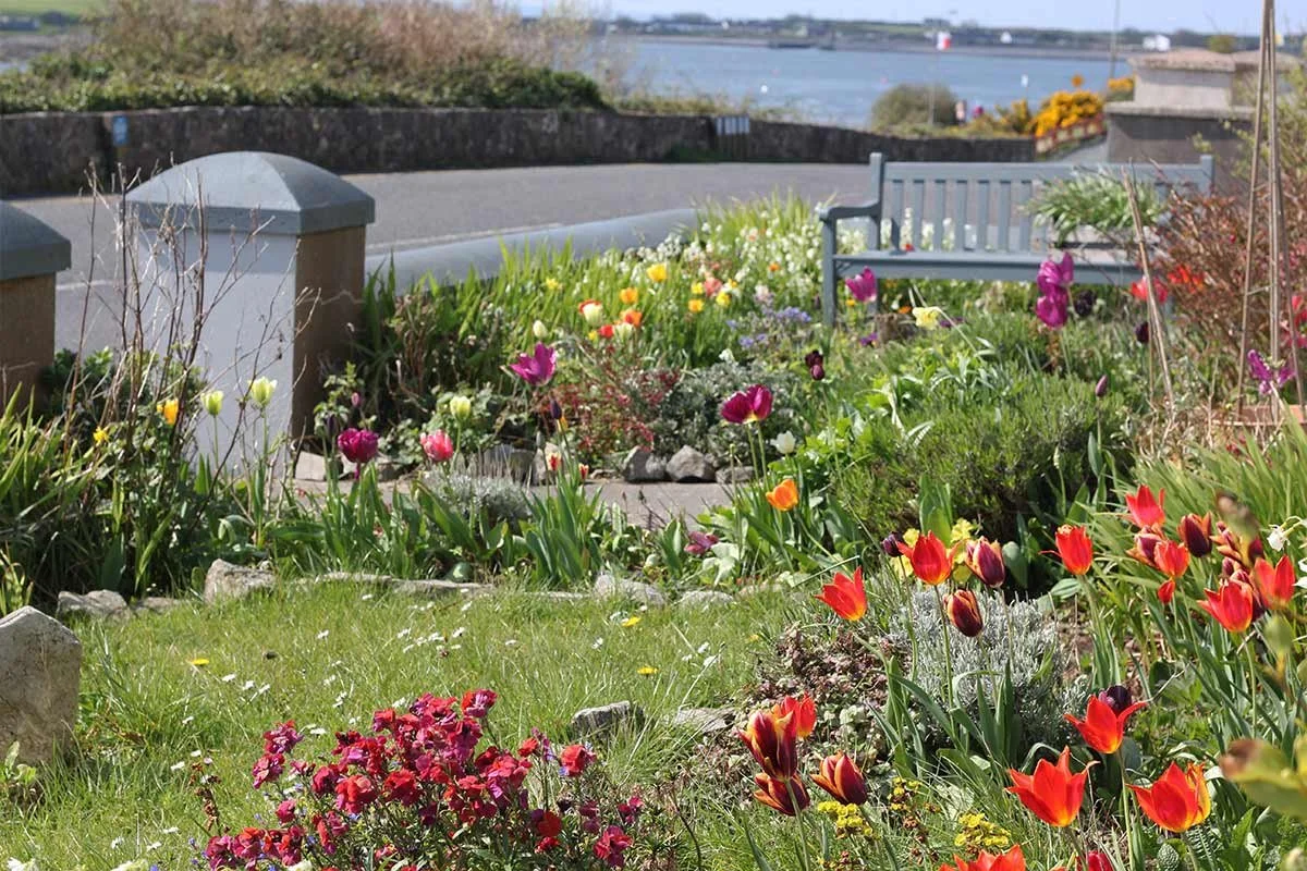 A colorful garden with tulips, daffodils, and other flowers, a gray park bench, and a view of water in the background.