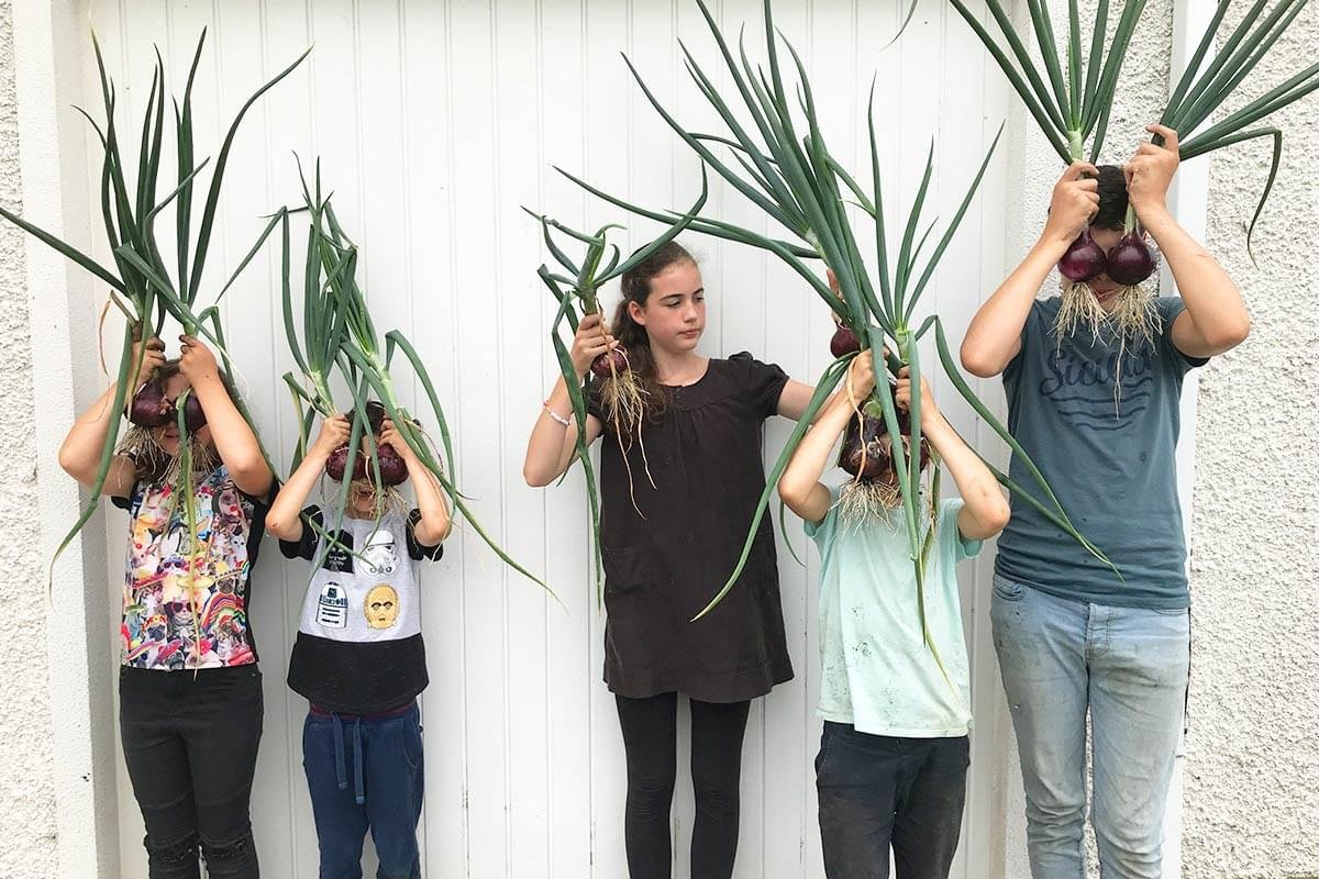 Five children holding large onion plants with roots and green leaves up to their faces, standing in front of a white wall.