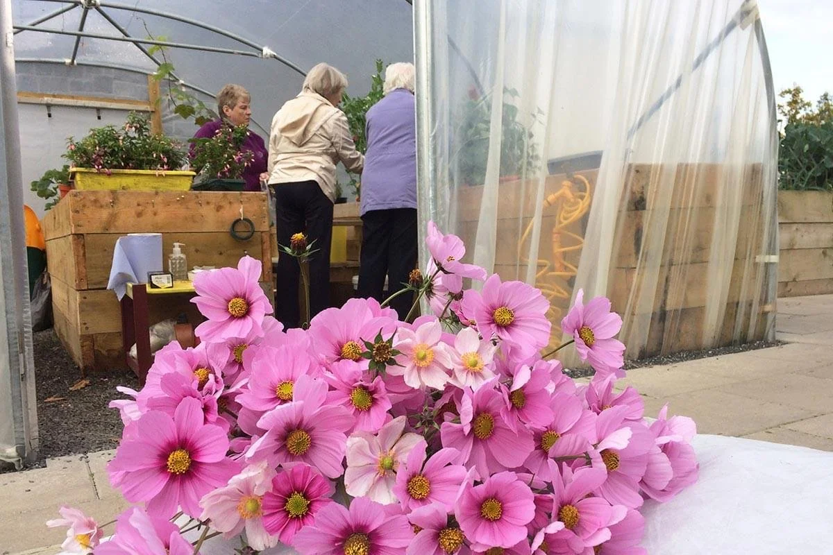 A large bouquet of pink flowers in the foreground with a greenhouse and three people working inside in the background.