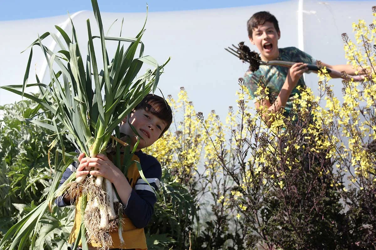 Two kids harvesting vegetables and flowers in a garden or farm, with a greenhouse or plastic tunnel in the background. One child in the foreground holds a bunch of green onions, and the other in the background is holding a gardening tool and smiling.