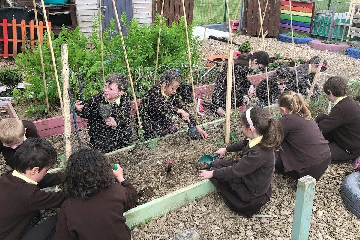 Children in school uniforms planting and tending to a garden with vegetables, protected by chicken wire fencing.