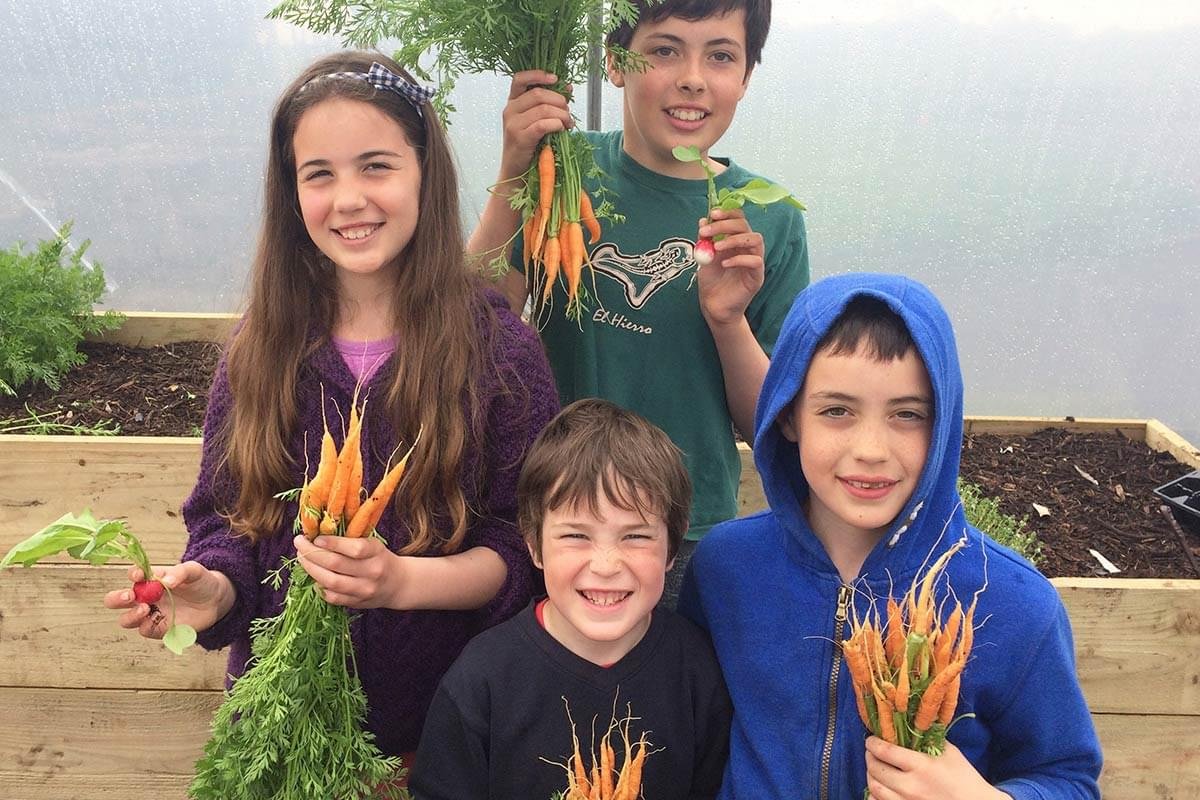 Four children smiling in a greenhouse, holding freshly harvested carrots and radishes, with planters of soil and plants behind them.