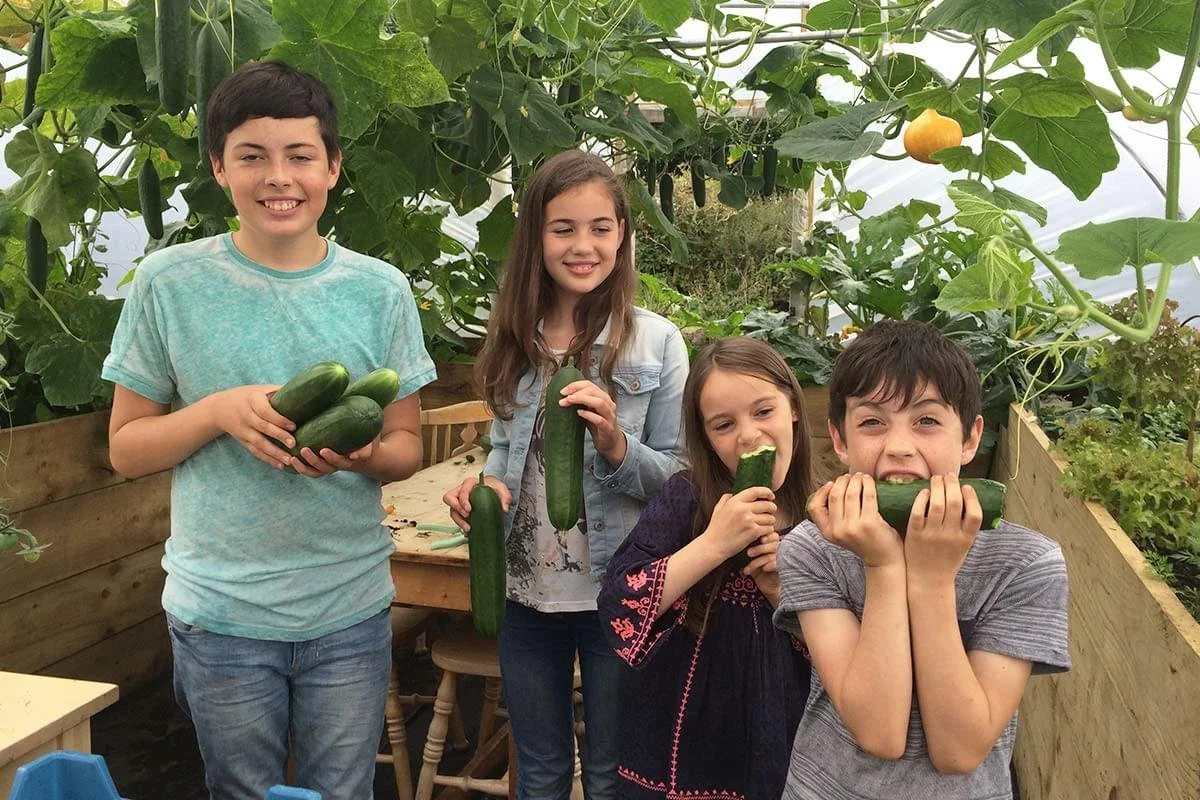 Four children stand in a greenhouse surrounded by cucumber plants, holding freshly picked cucumbers and posing happily.
