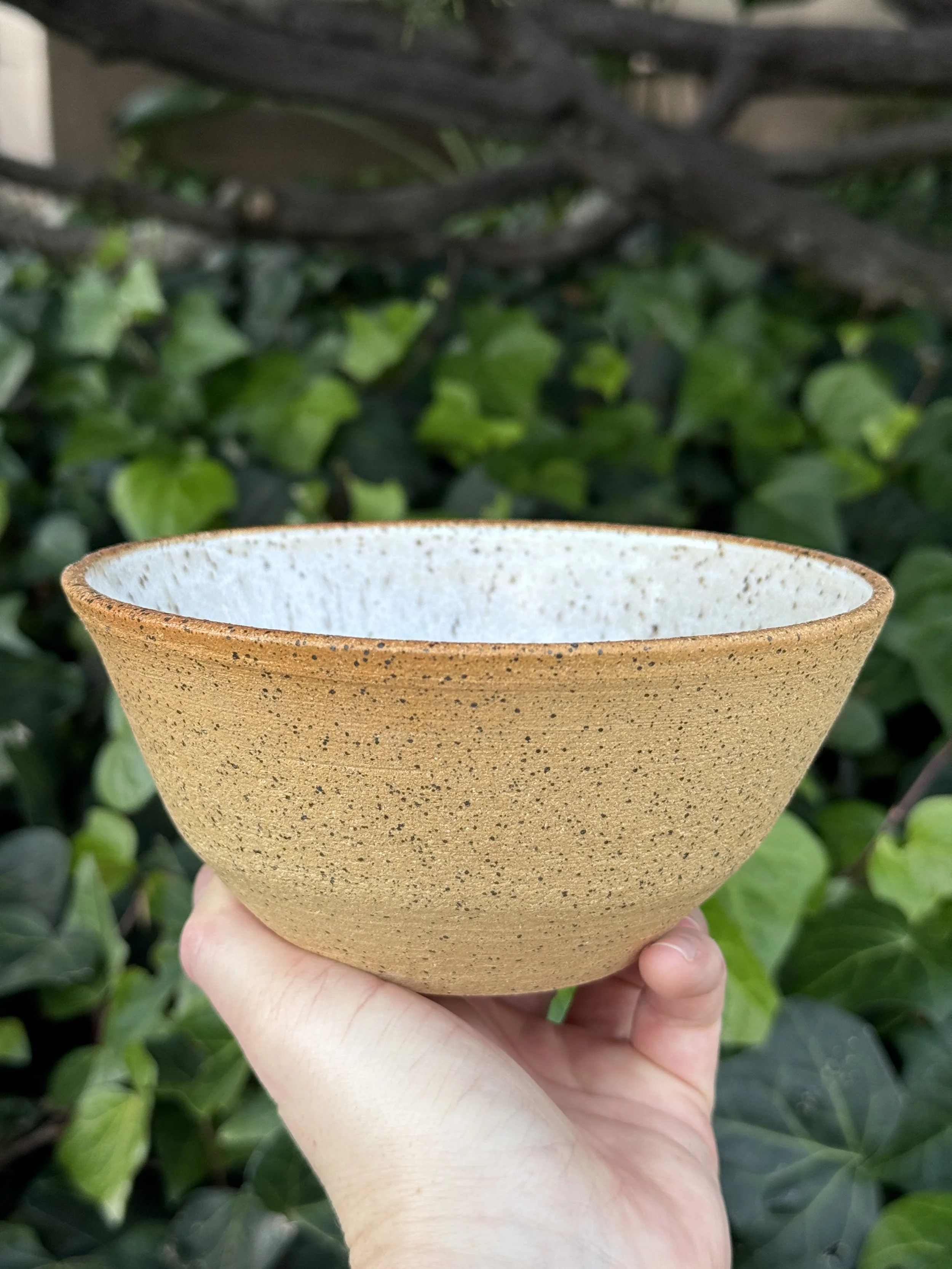 Earth and White Glaze Bowl #1