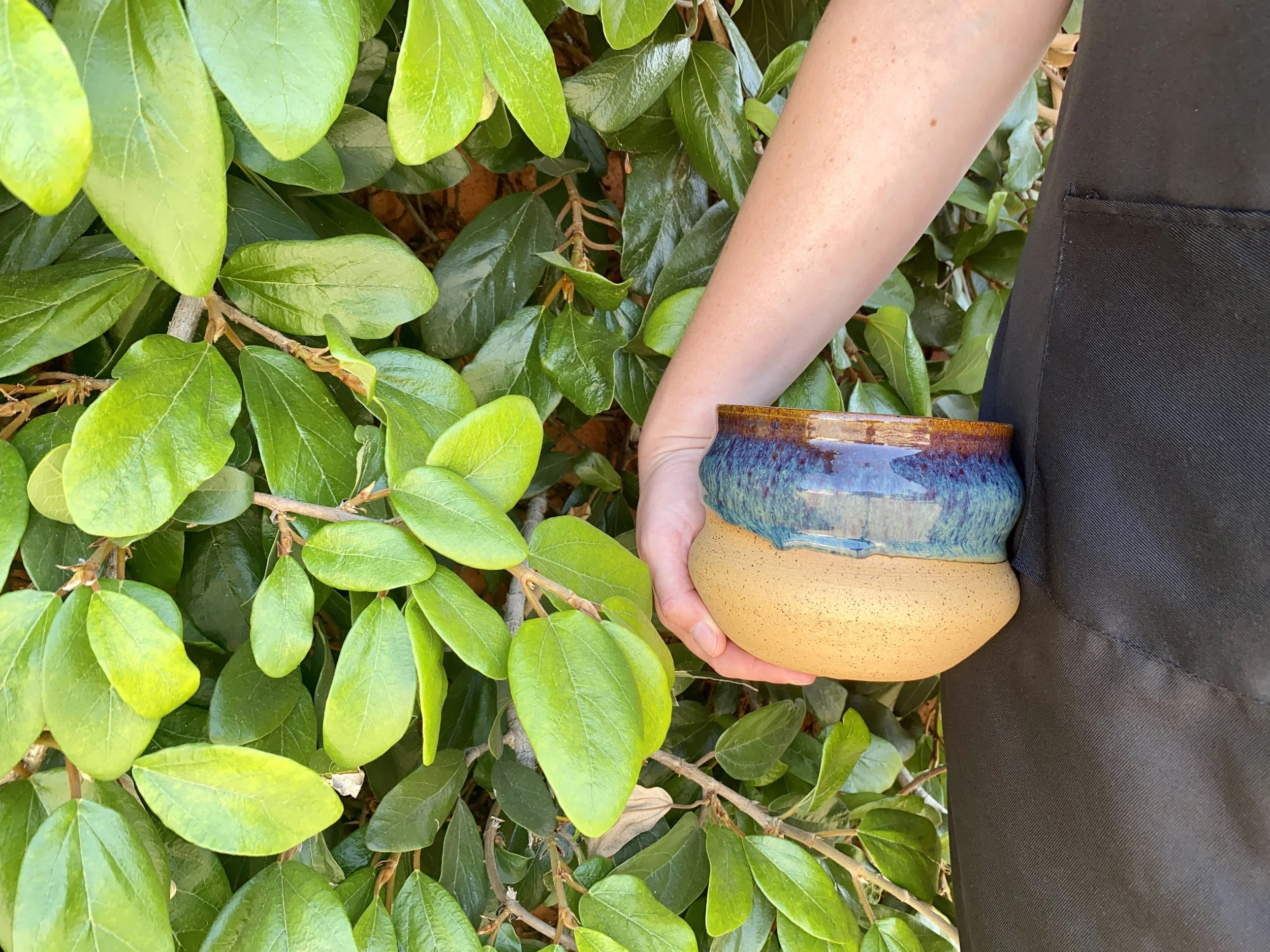 Gift Card to Ceramic Echoes