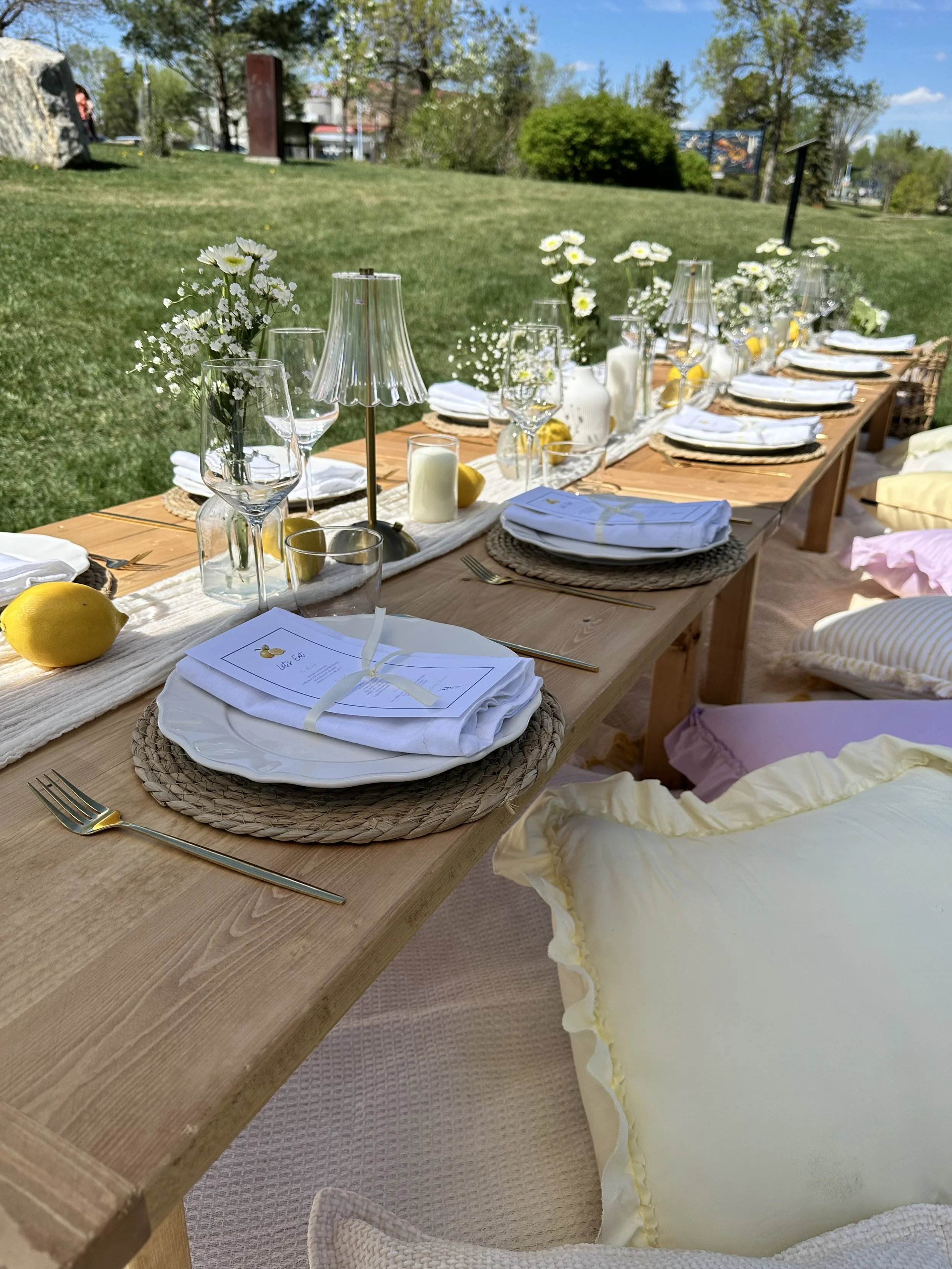 Outdoor luxury picnic table experience set up with lemon and lavender themed decor for a birthday party. Lemons and wild flowers, yellow and purple pastel pillows and blankets.