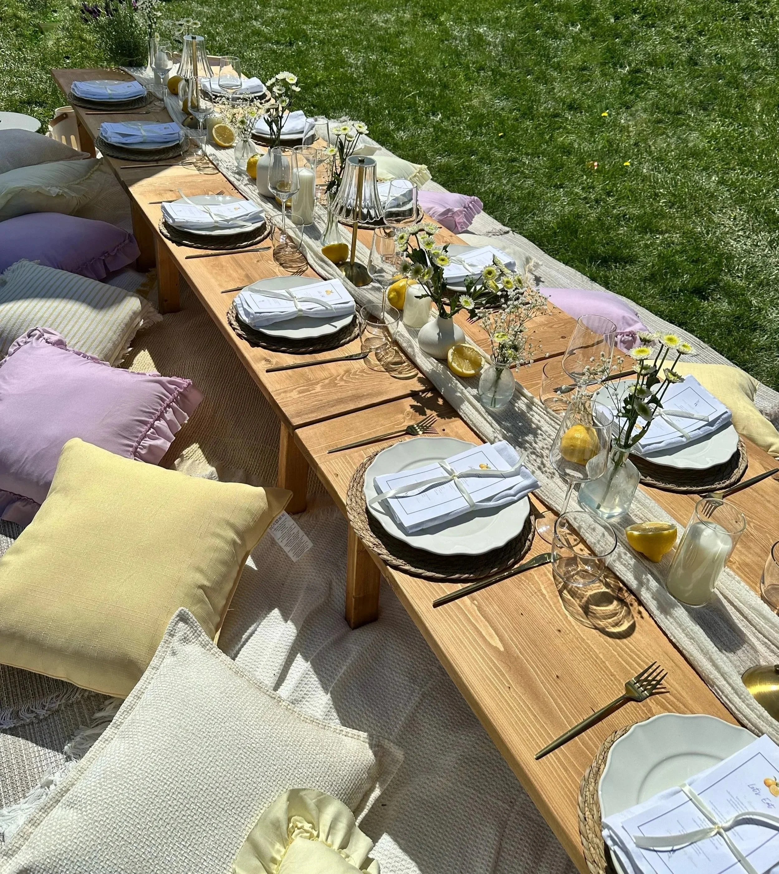 Outdoor luxury picnic table experience set up with lemon and lavender themed decor for a birthday party. Lemons and wild flowers, yellow and purple pastel pillows and blankets.