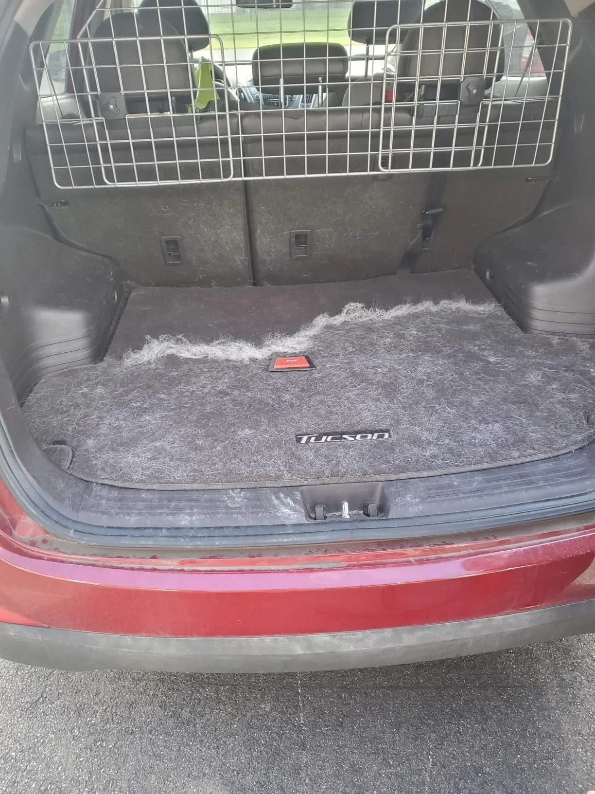 Trunk Car Mat.jpg