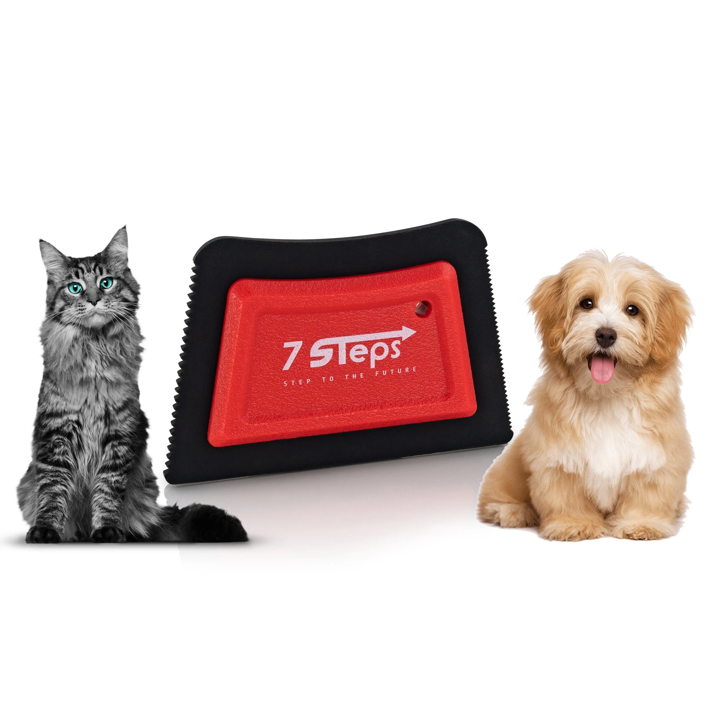 Mini Pet Hair Lint Fur Remover Detailer - Dog Cat Hair Remover - Auto Detailing Car Carpet Couch Furniture