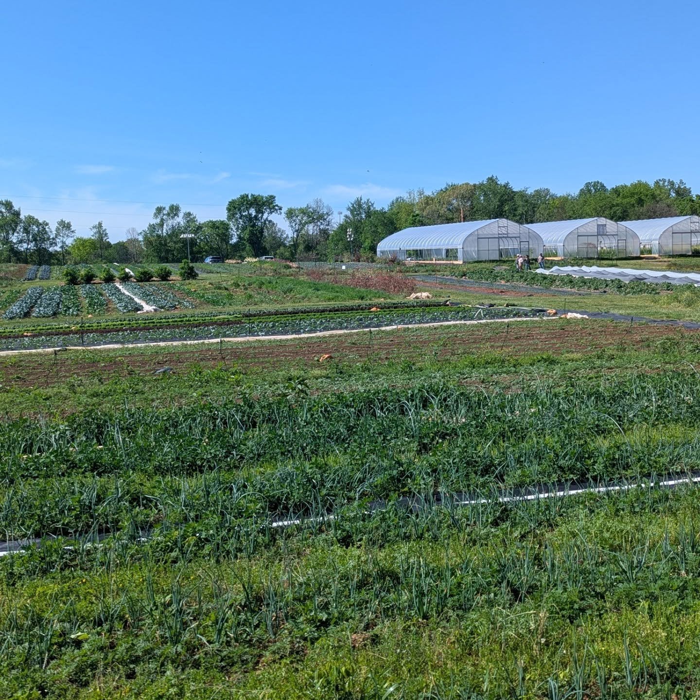 MORE ABOUT US:

When we aren't in the shop making molds and pouring concrete, we spend a lot of time outdoors - either in the garden, on the river, or on some hiking trails. With a lot going on this year we never got to start our own veggies (which i