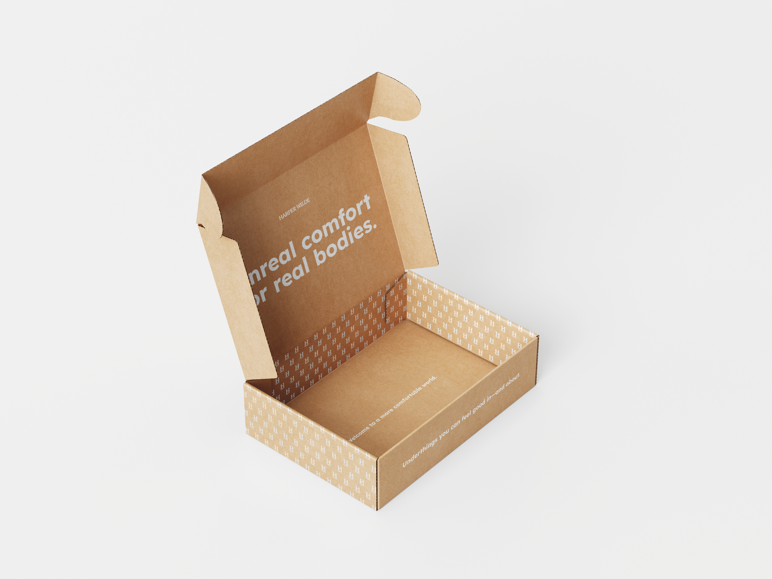 Mailer_Box_Mockup_3.png