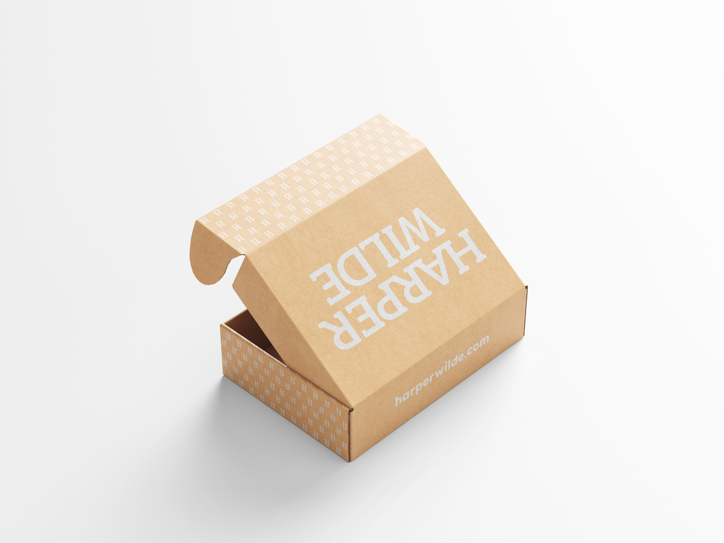 Mailer_Box_Mockup_5.png