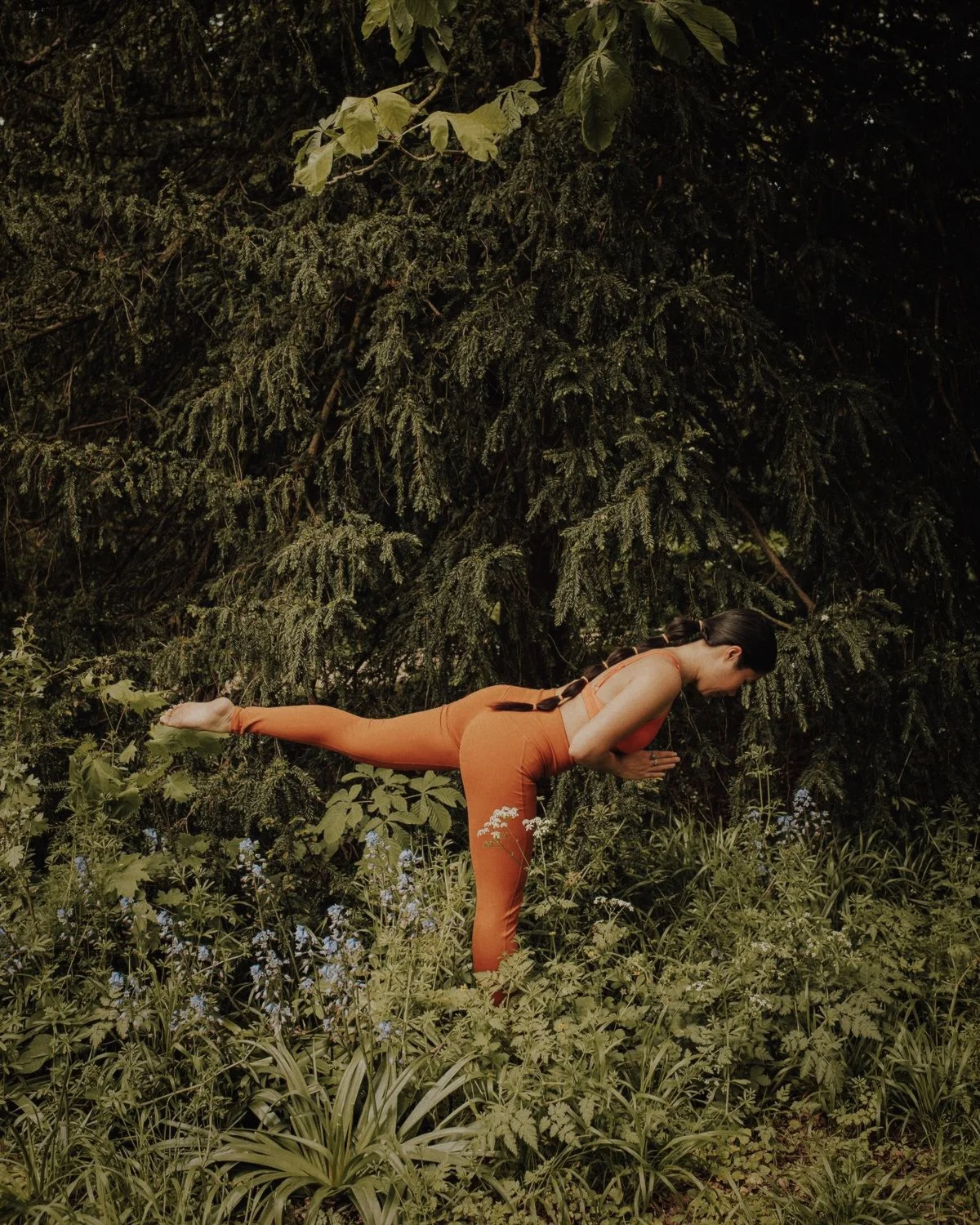 Between Seasons: An Outdoor Movement Experience + Slow Exhale into Fall
