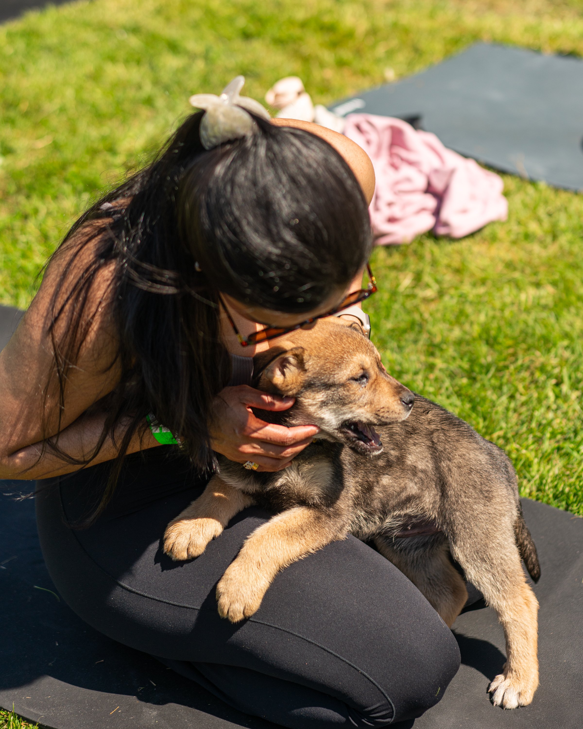 puppy yoga-43.jpg