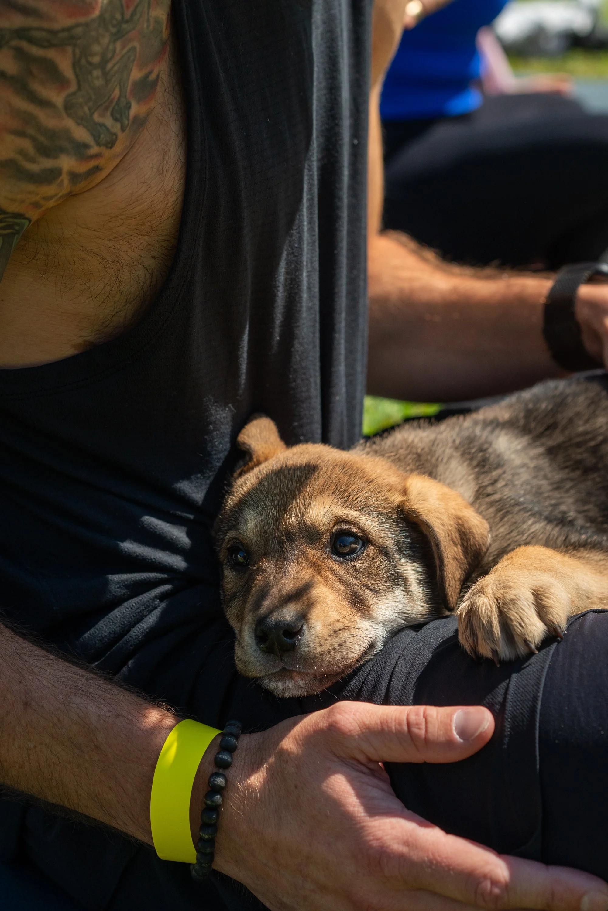 puppy yoga-81.jpg