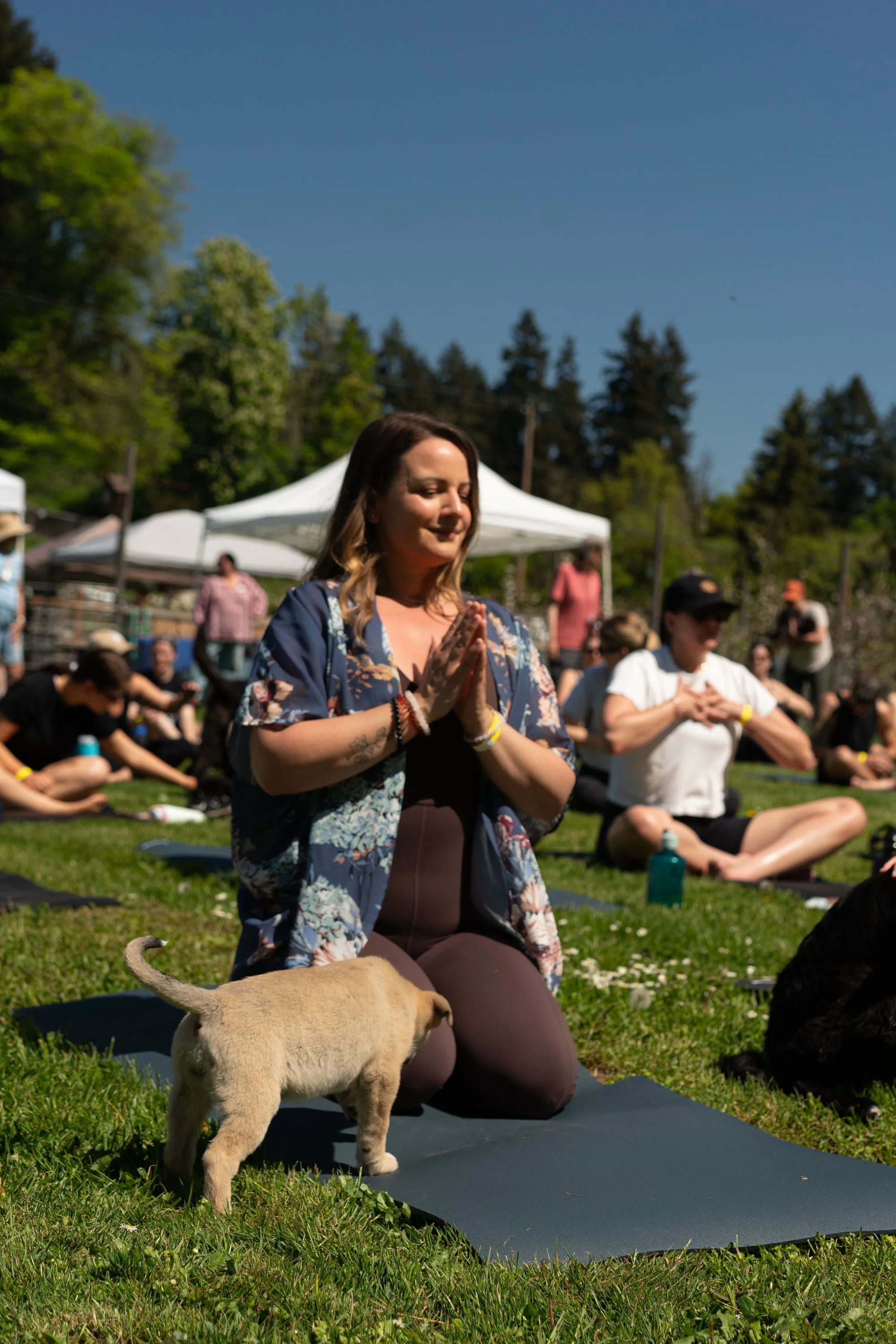 puppy yoga-31.jpg