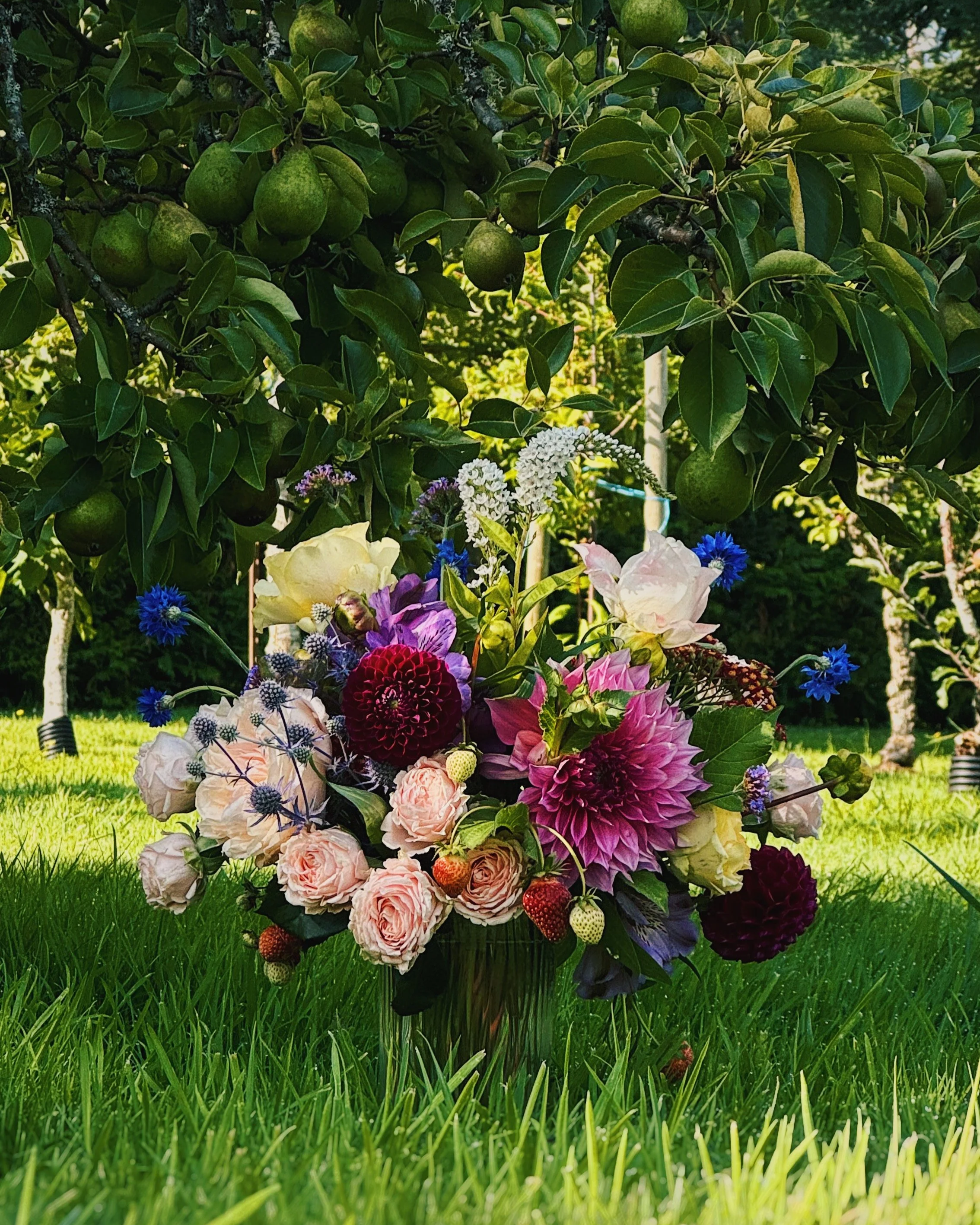 flow-and-florals-eurosa-farm-sweat-and-social-cover-photo.png