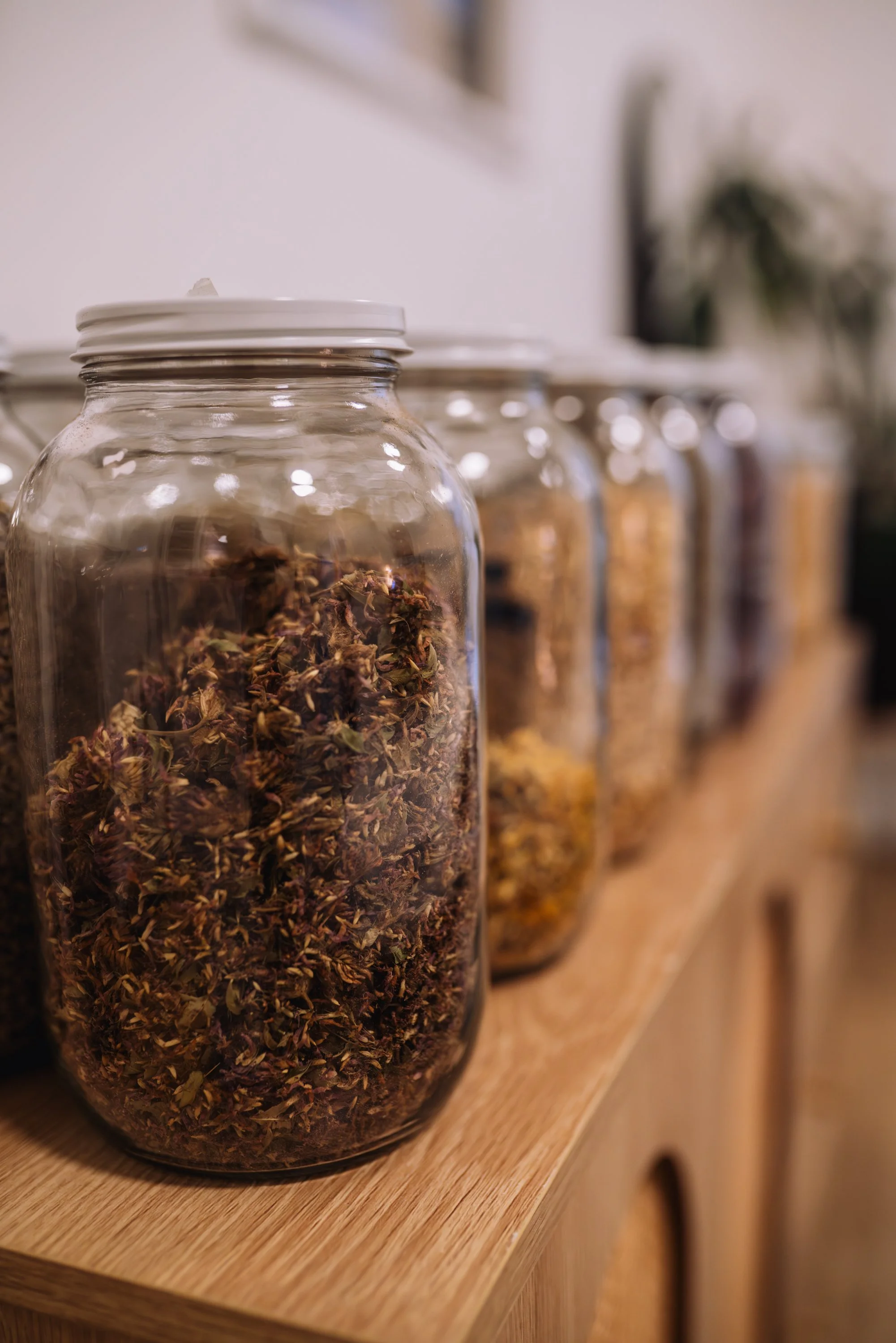 Opal_S&S_Feb 2026-23.jpg