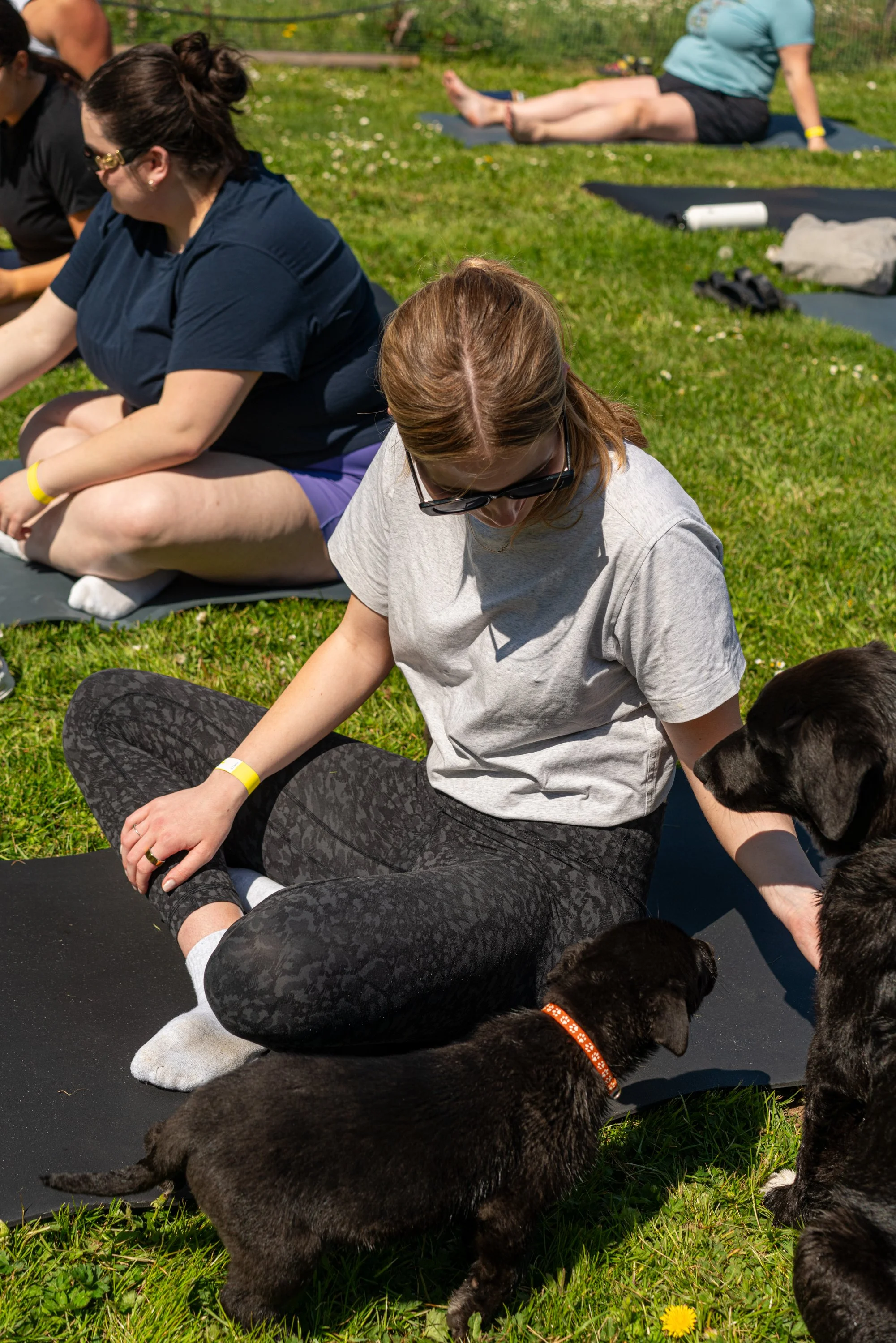puppy yoga-27.jpg