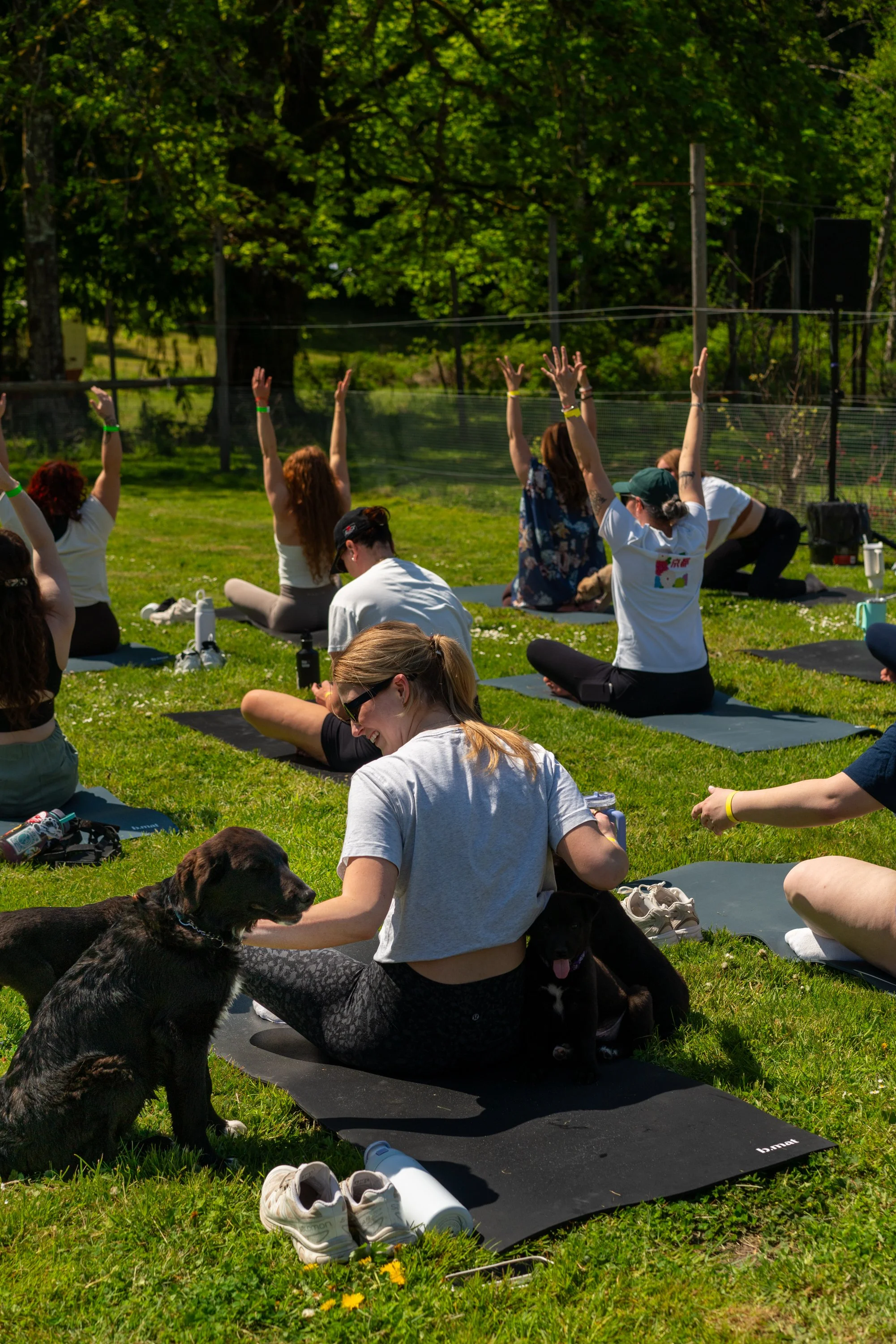 puppy yoga-26.jpg