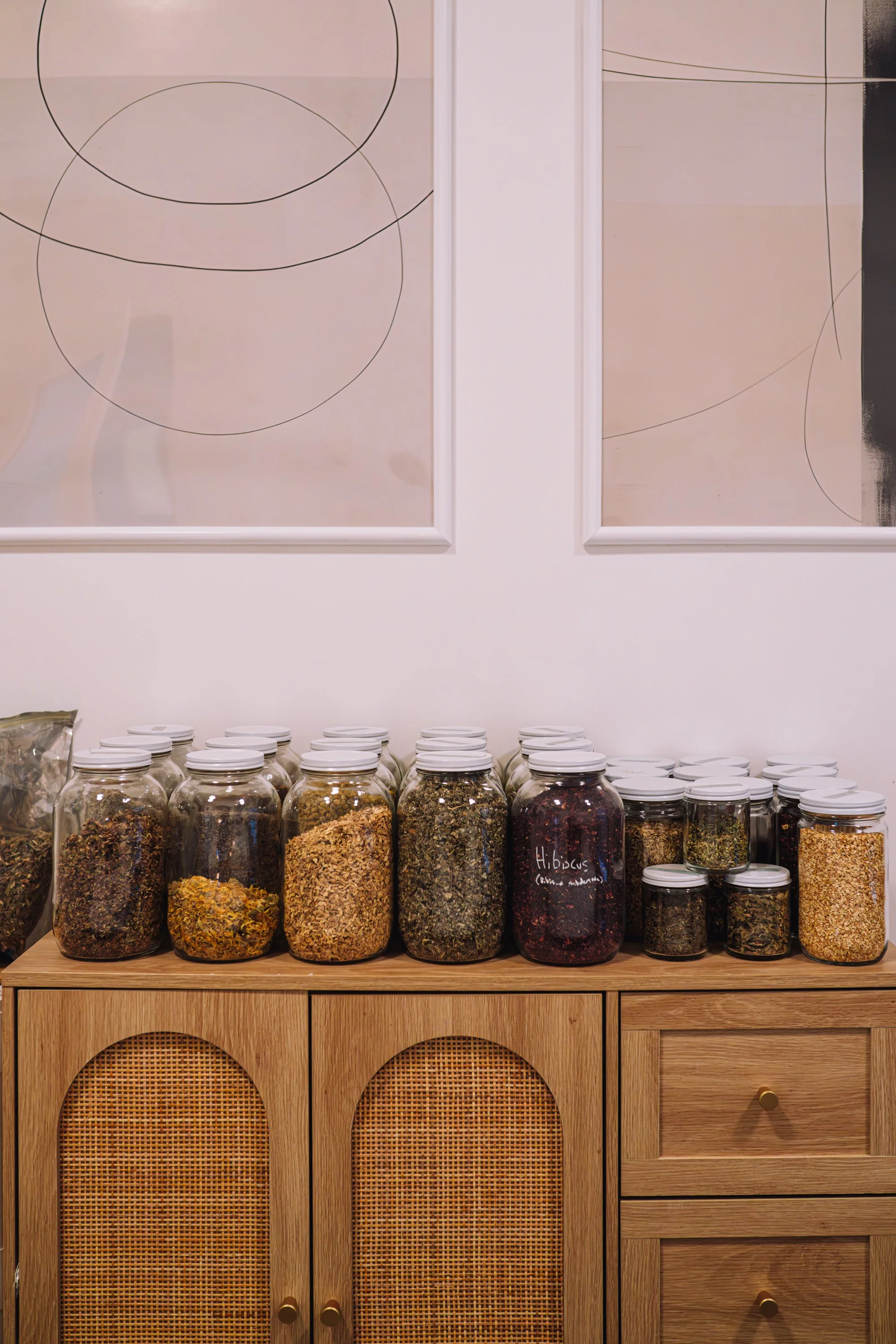 Opal_S&S_Feb 2026-15.jpg