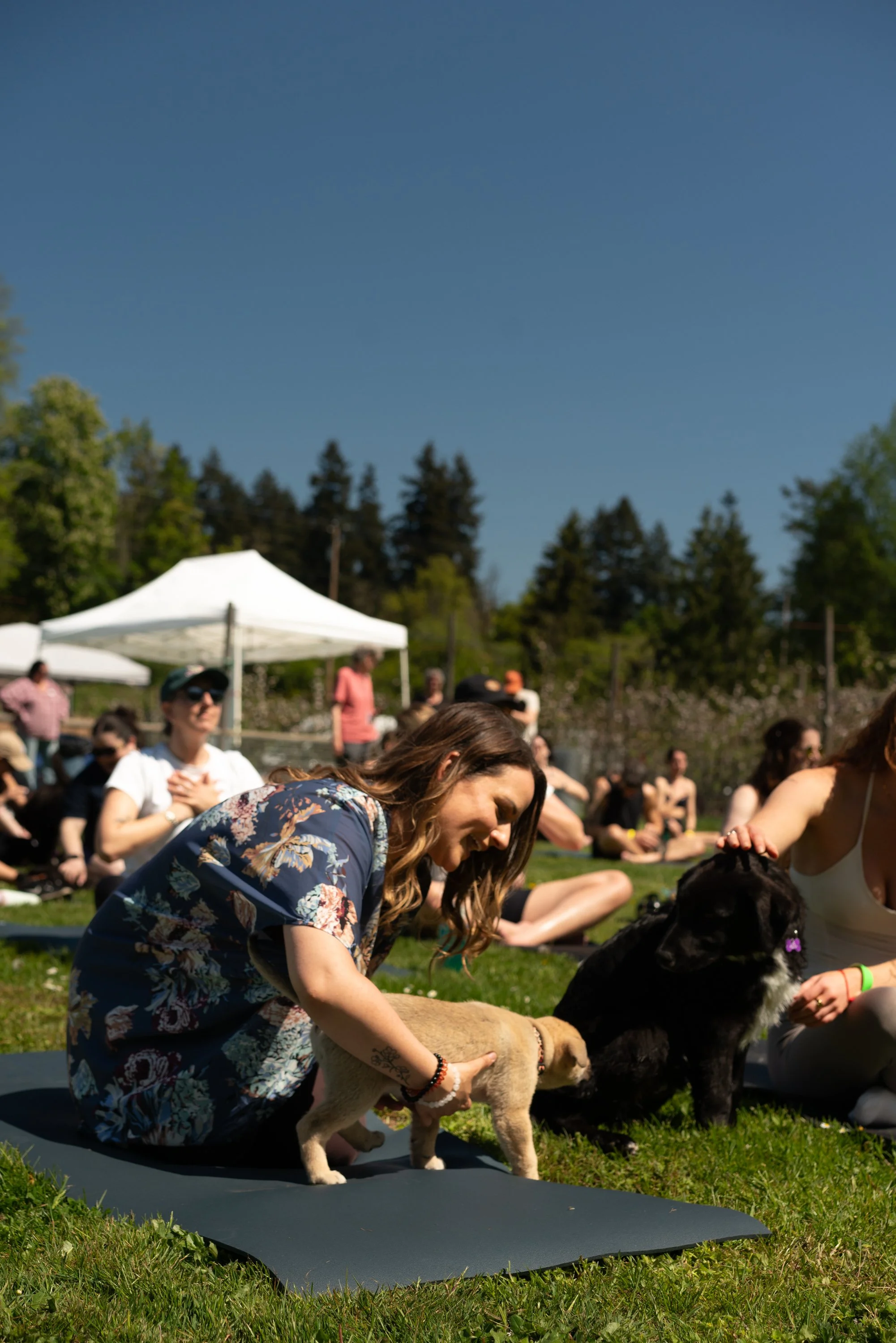puppy yoga-32.jpg