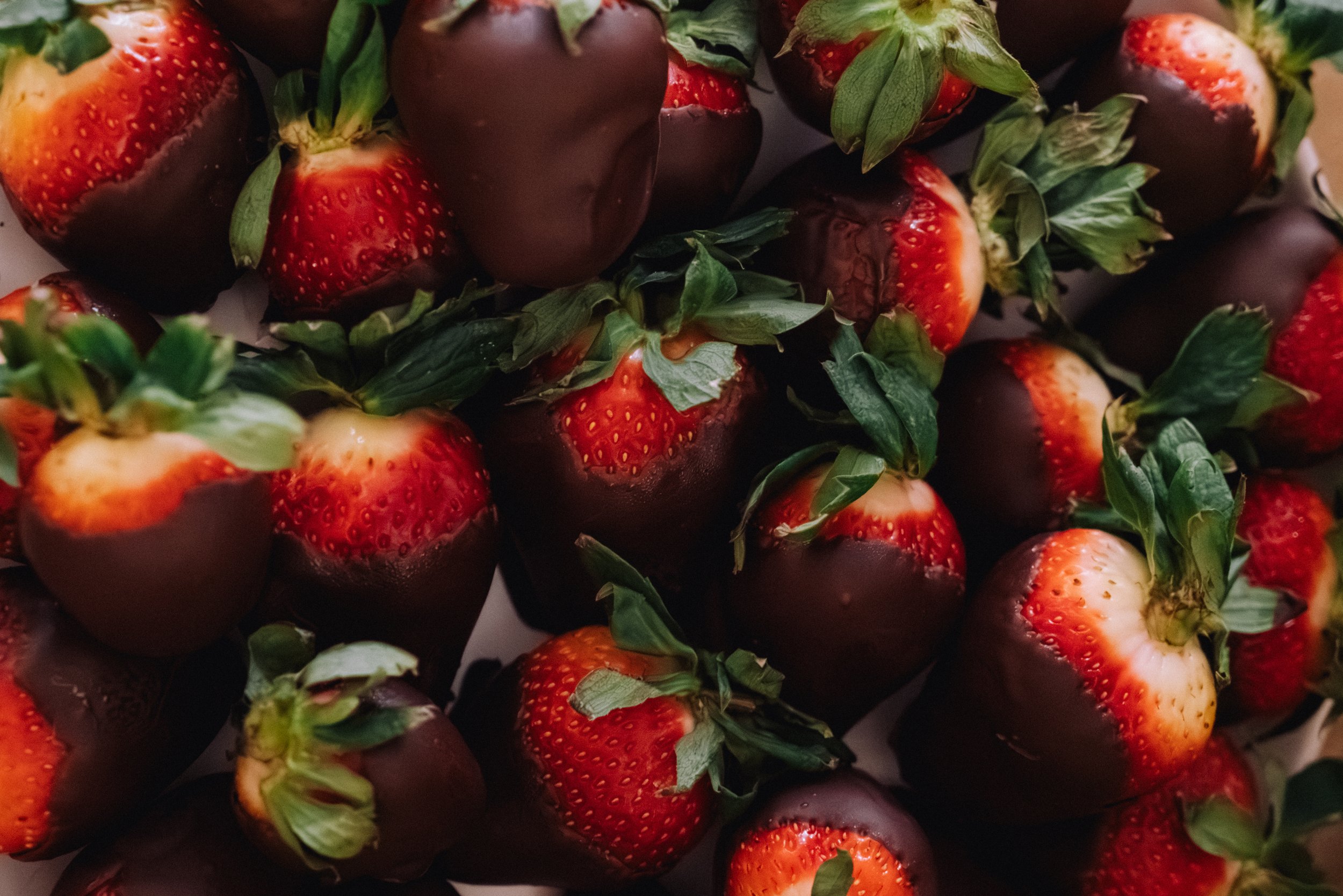 Opal_S&S_Feb 2026-34.jpg