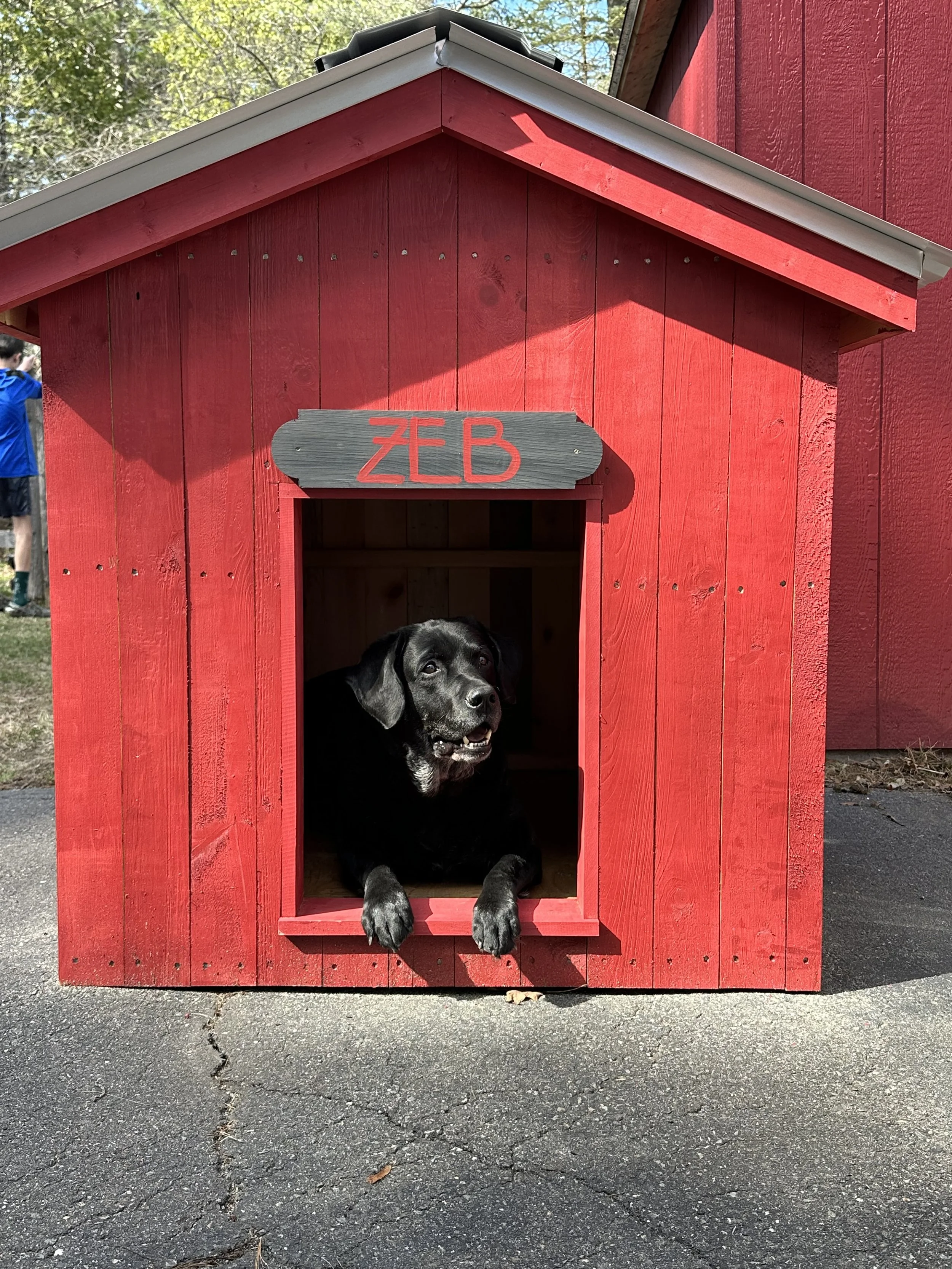 A black dog lying inside a red wooden dog house labeled 'ZEB', with people and trees in the background.